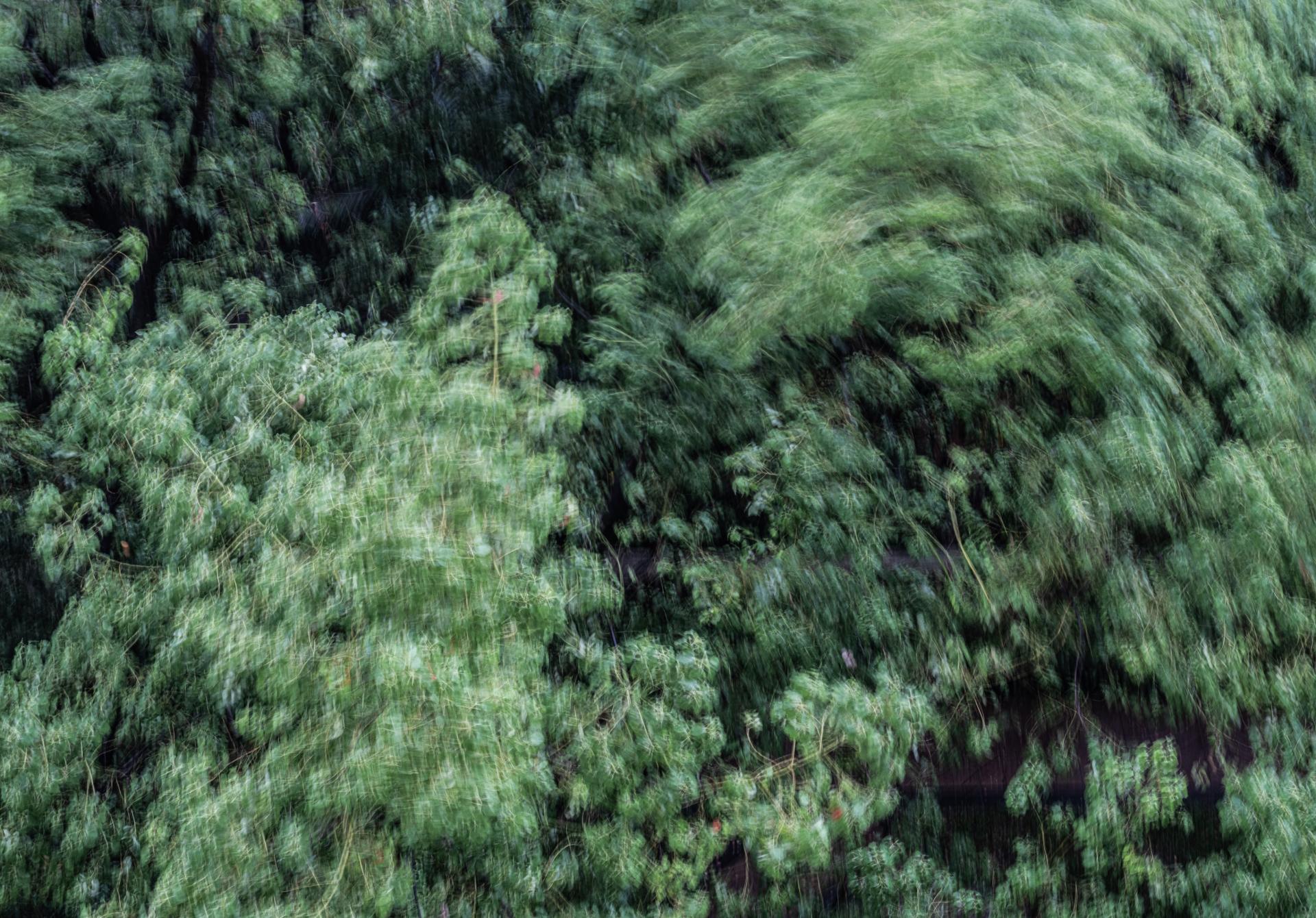 Global Photography Awards Winner - Between Wind and Rain