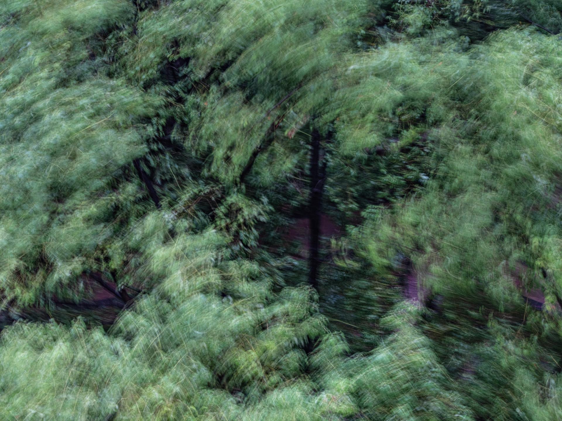 Global Photography Awards Winner - Between Wind and Rain