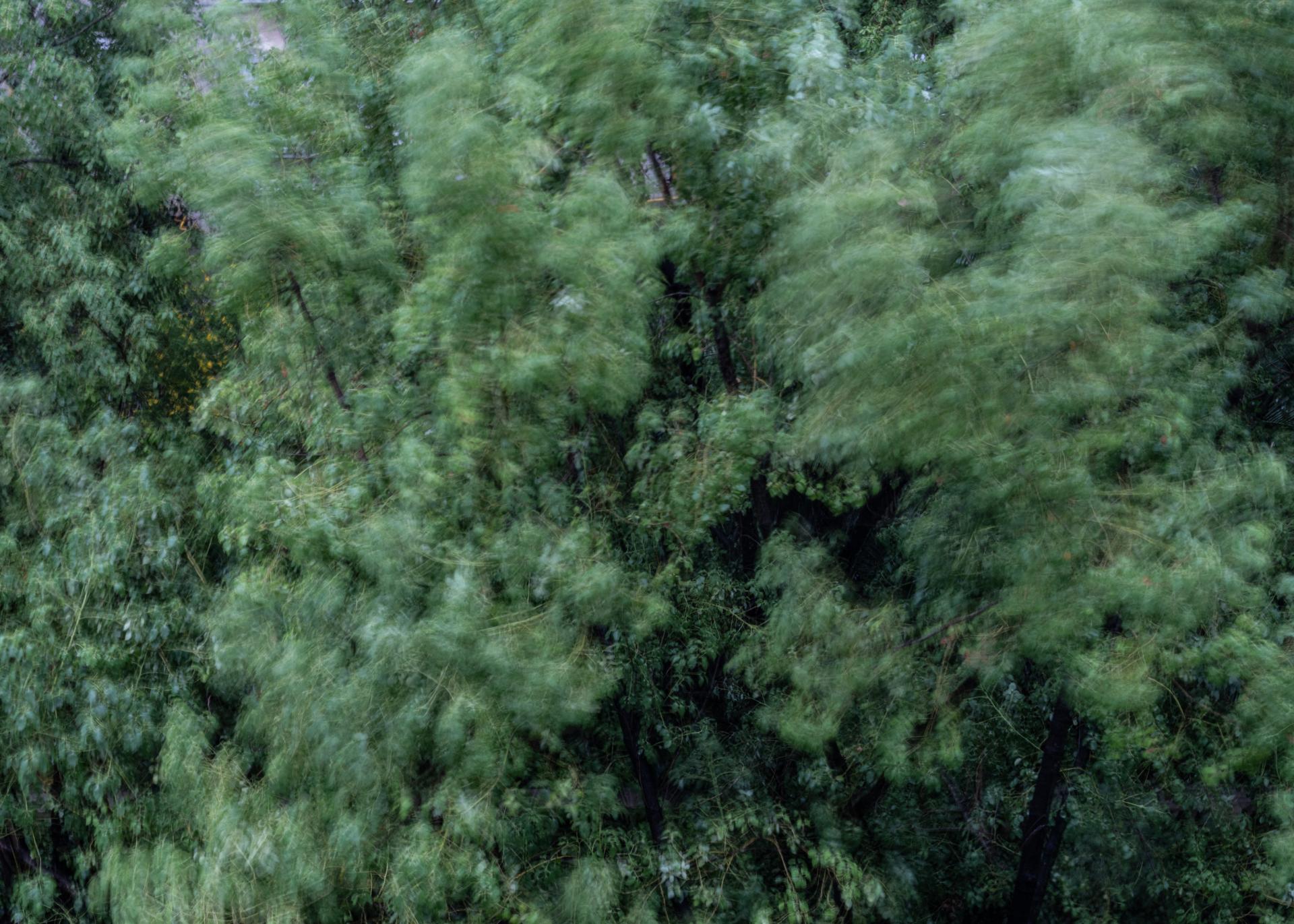 Global Photography Awards Winner - Between Wind and Rain