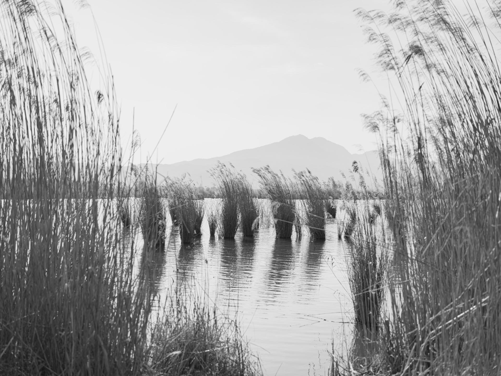 Global Photography Awards Winner - The Unreachable Horizon