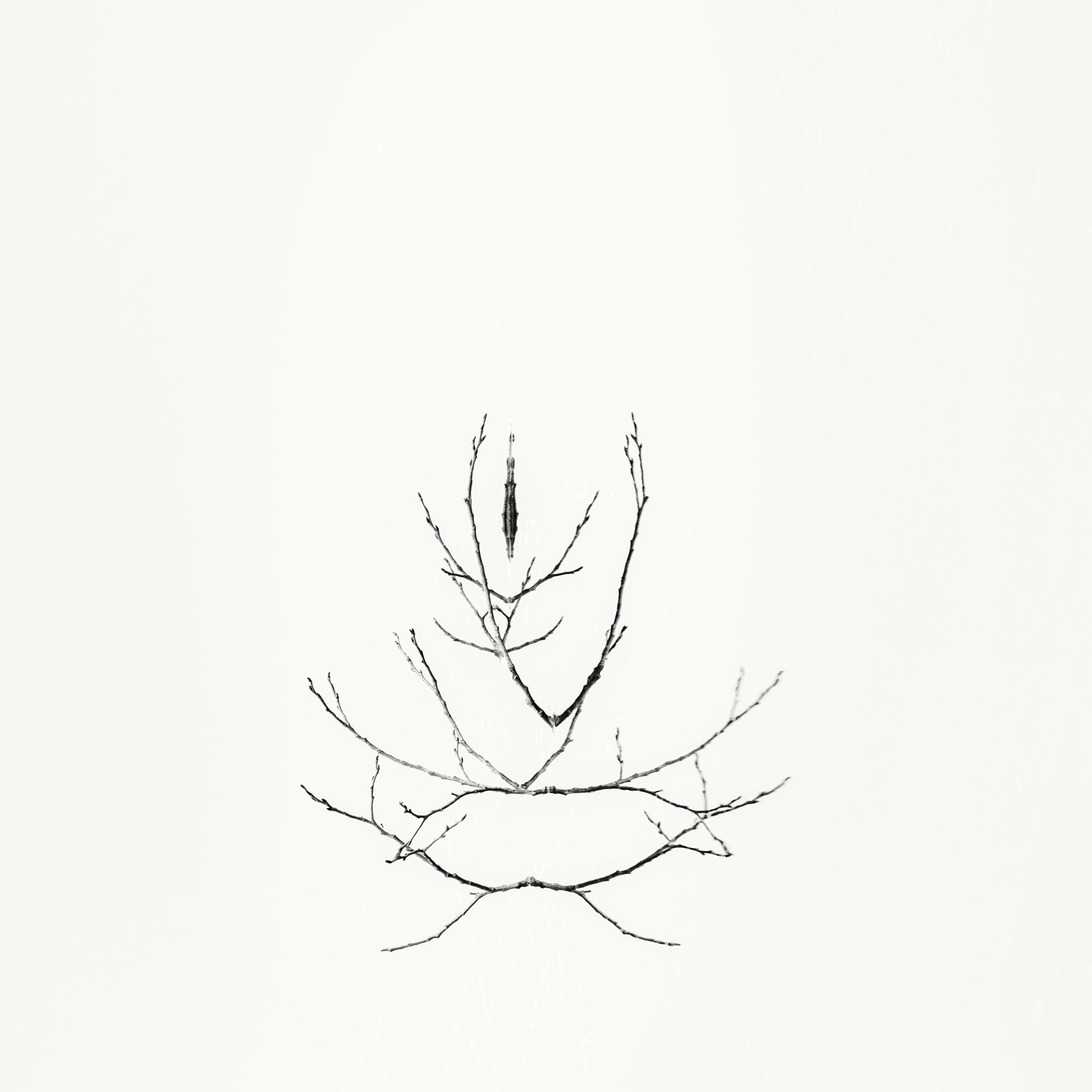 Global Photography Awards Winner - Early Spring. In the Mirror 