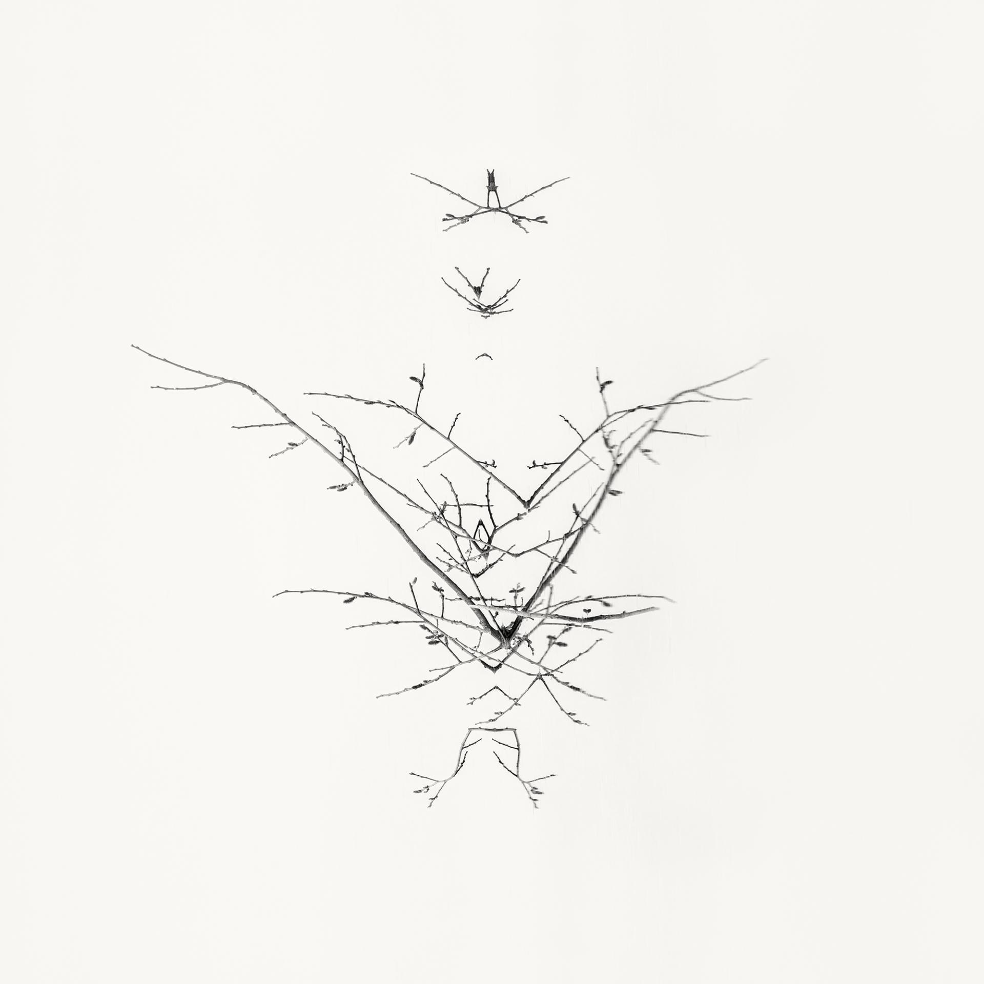 Global Photography Awards Winner - Early Spring. In the Mirror 