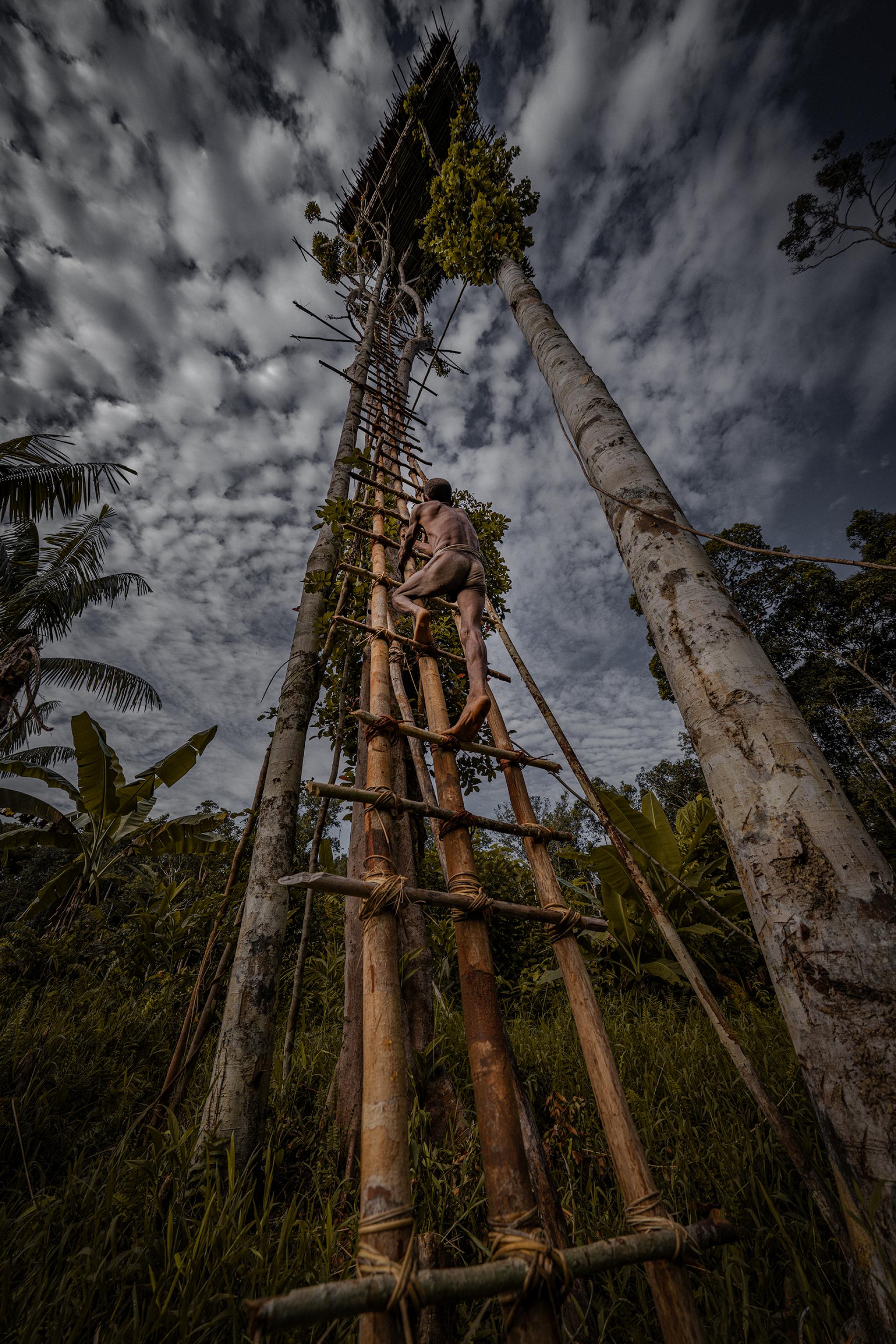 Global Photography Awards Winner - Fading - the last of their kinds