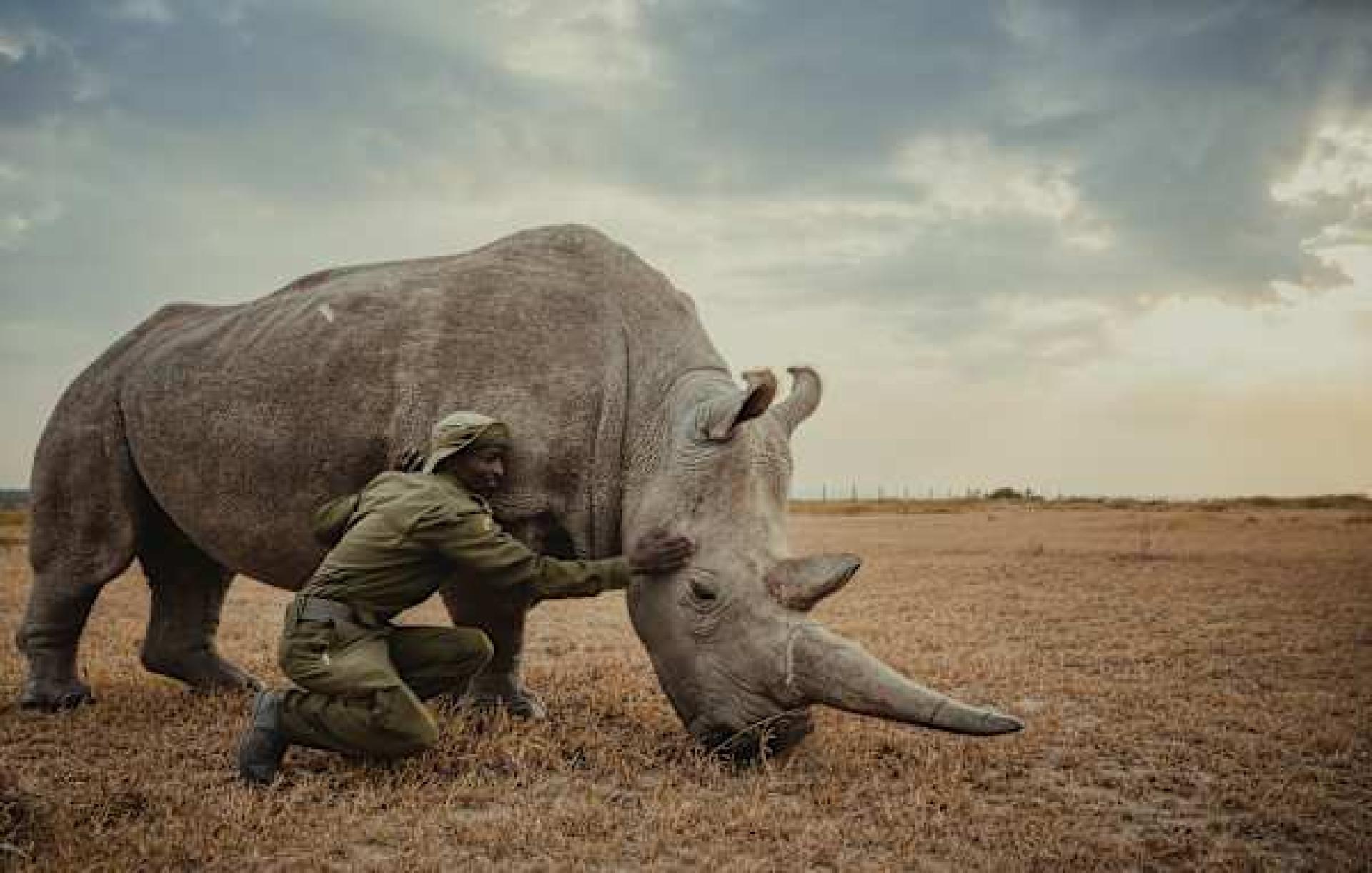 Global Photography Awards Winner - Compassion