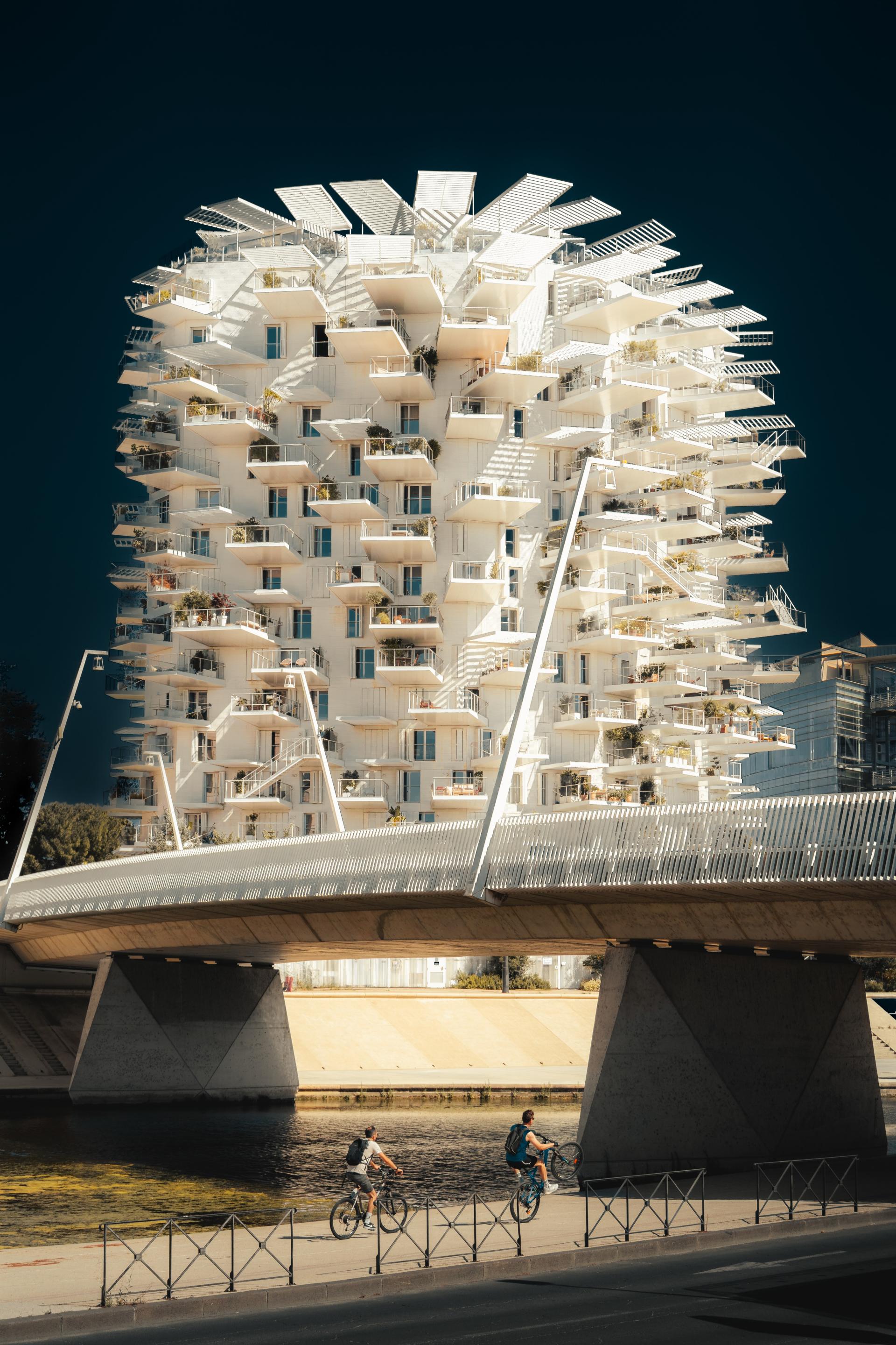 Global Photography Awards Winner - L'Arbre Blanc