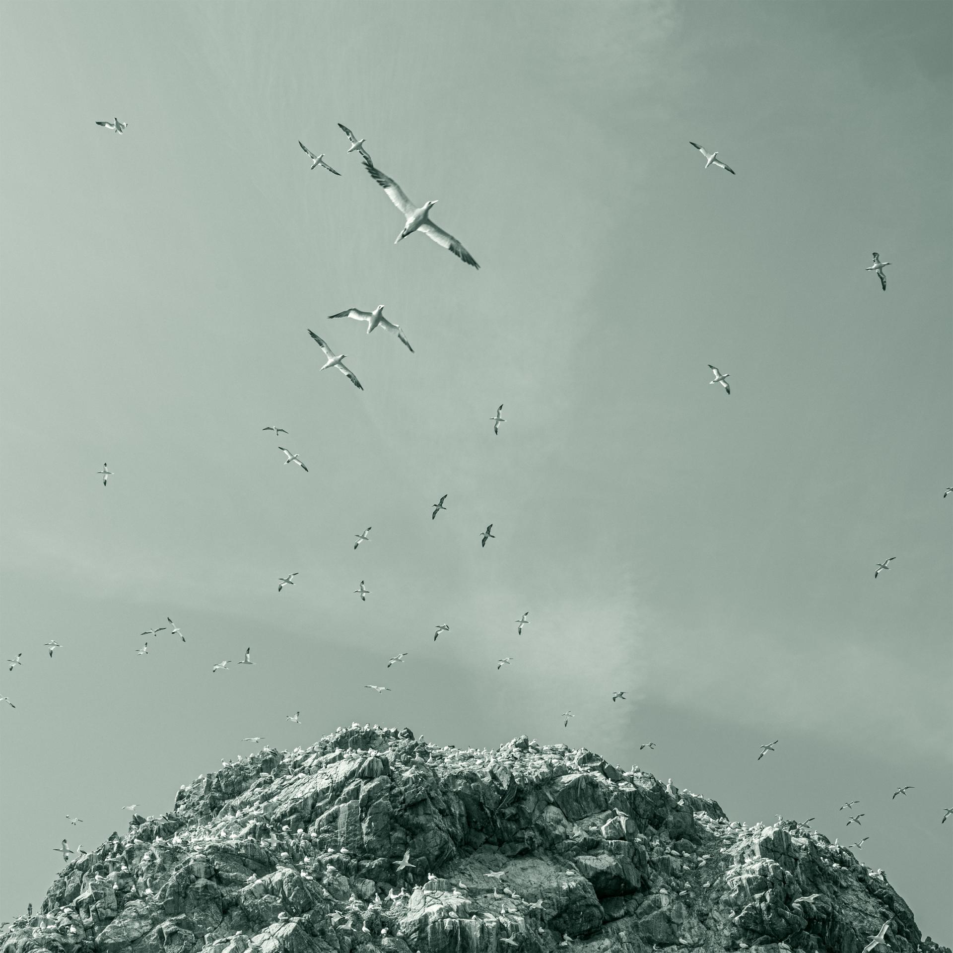 Global Photography Awards Winner - Celestial Calligraphy