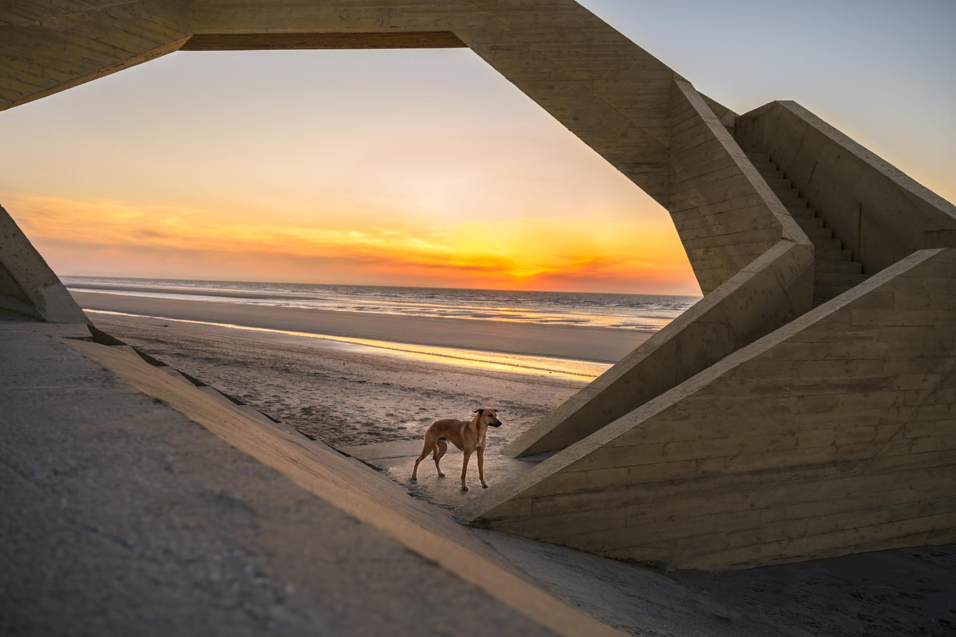 Global Photography Awards Winner - Framed freedom
