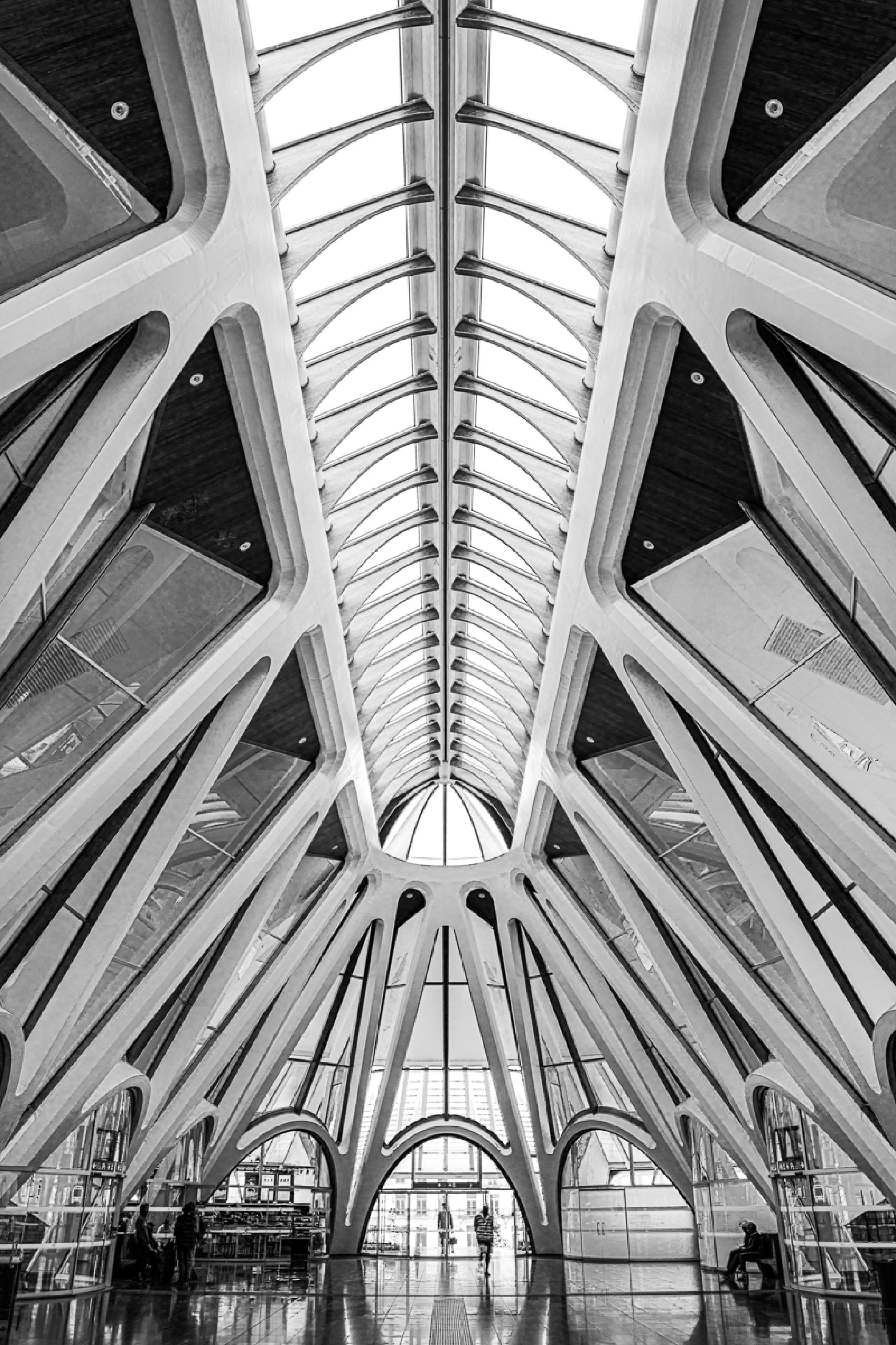 Global Photography Awards Winner - Station