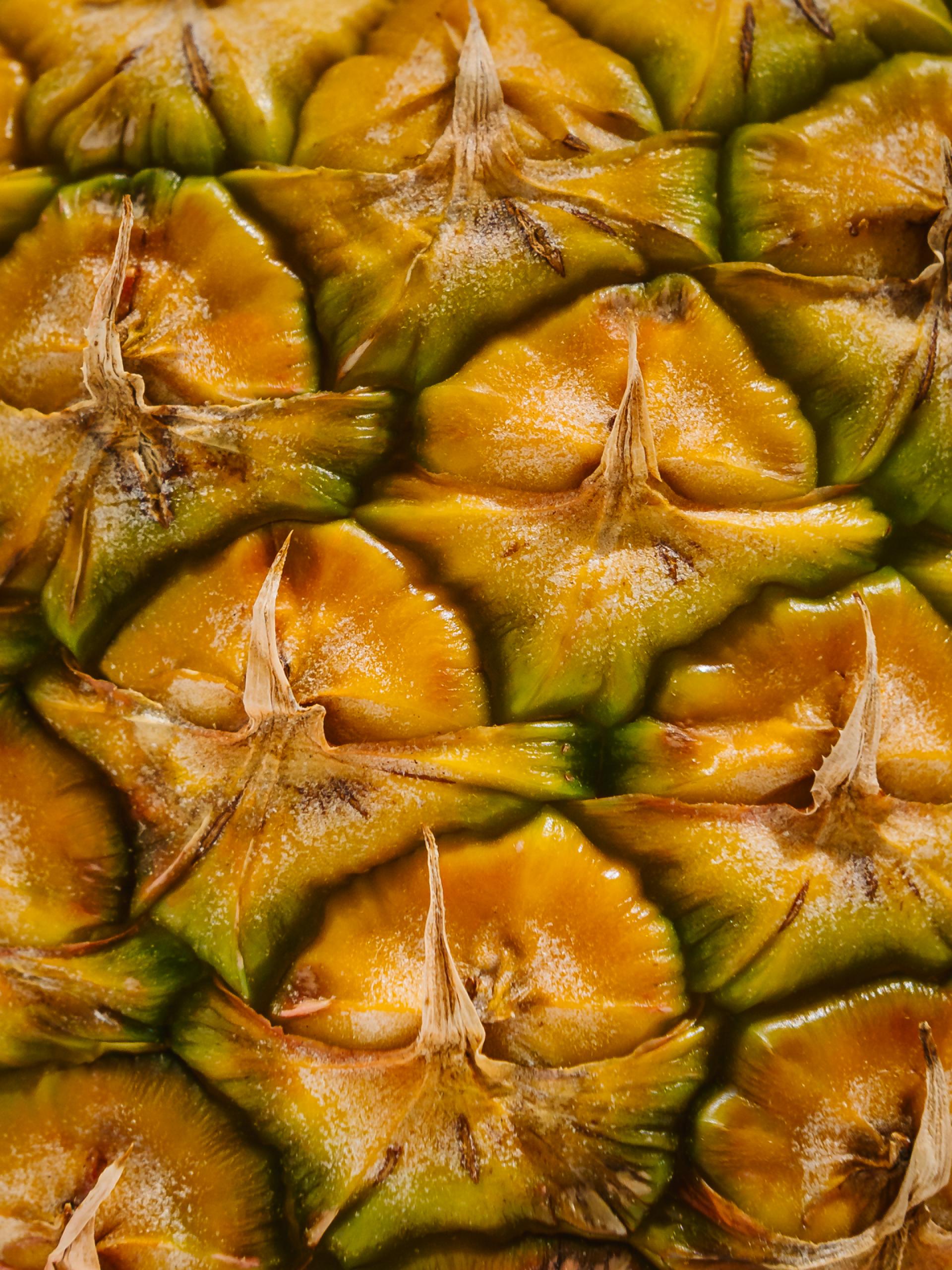 Global Photography Awards Winner - Pineapple Series