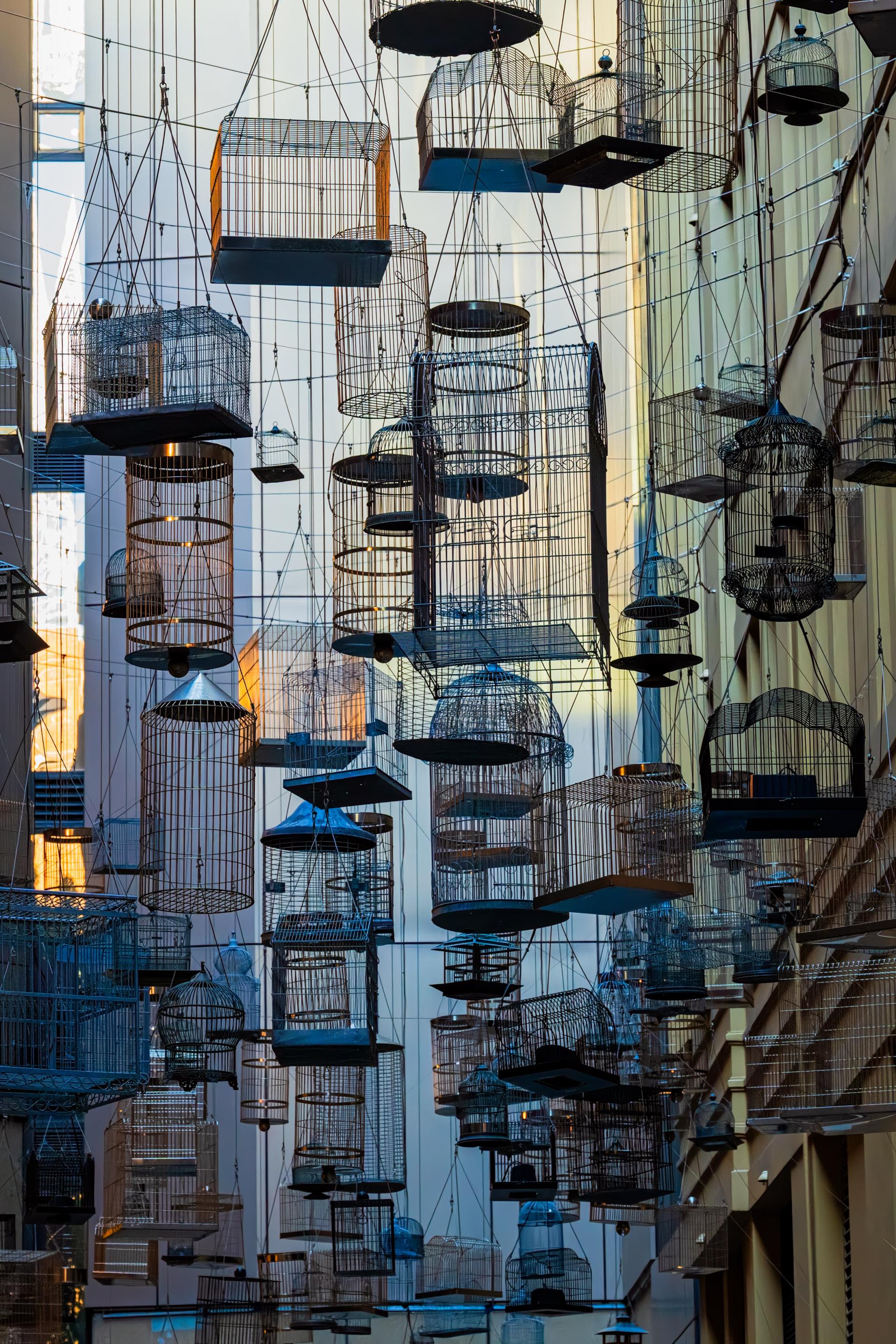 Global Photography Awards Winner - “Forgotten Songs” – Angel Place Birdcages
