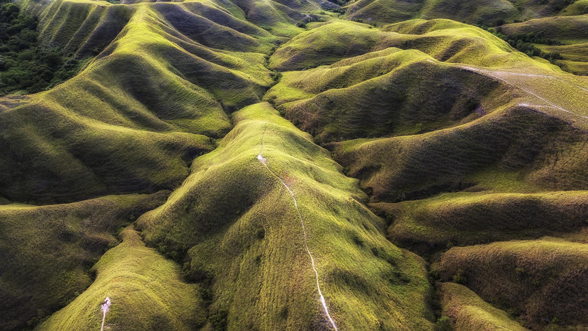 Global Photography Awards Winner - Waves of Green