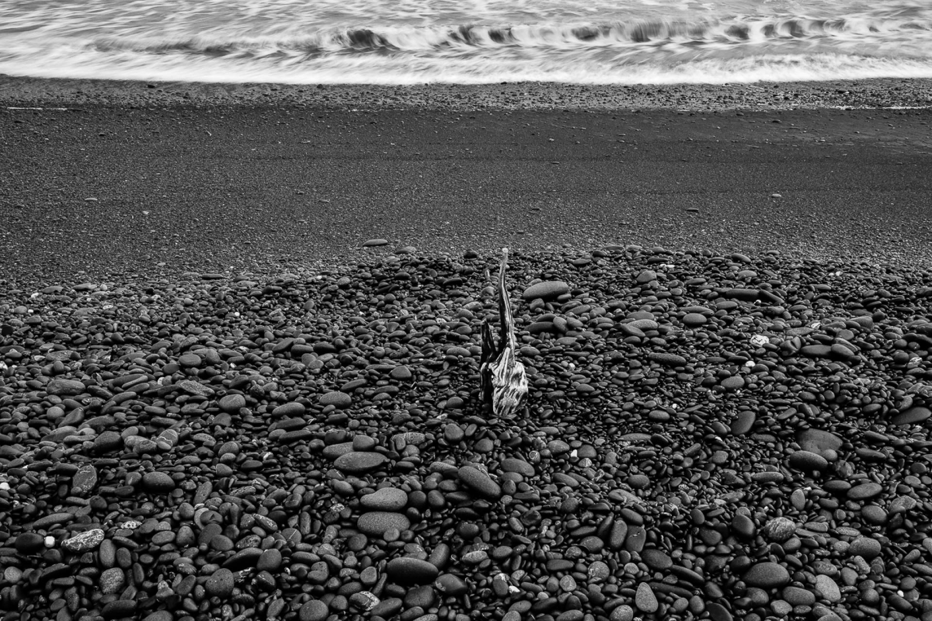 Global Photography Awards Winner - The Finger