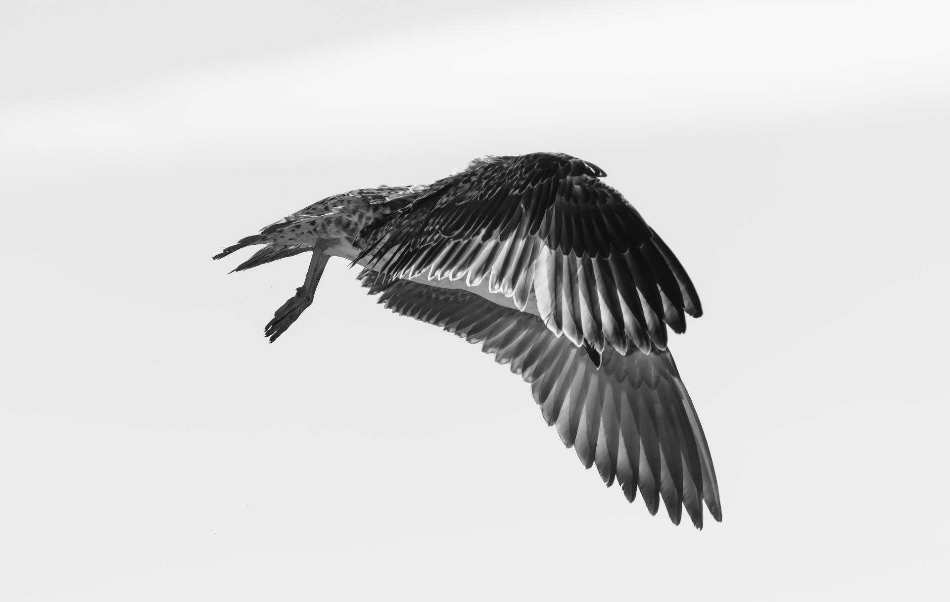 Global Photography Awards Winner - Bez głowy w chmurach