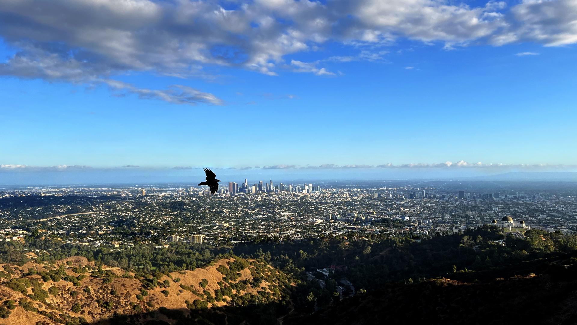 Global Photography Awards Winner - Guardians of the LA Skyline