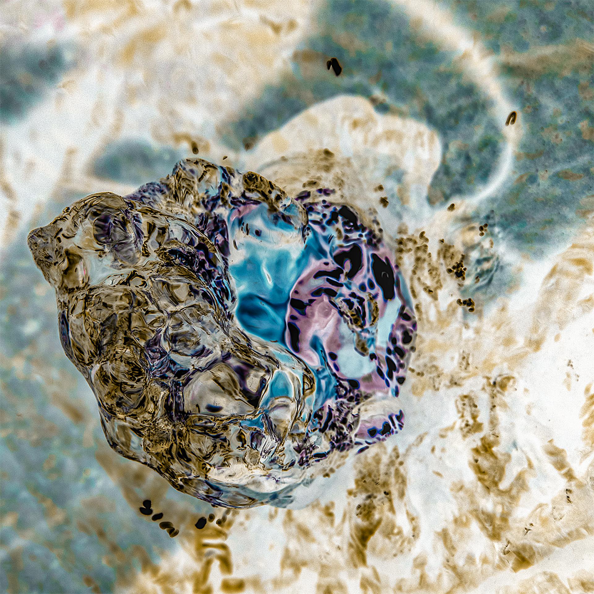 Global Photography Awards Winner - Glass from Stone