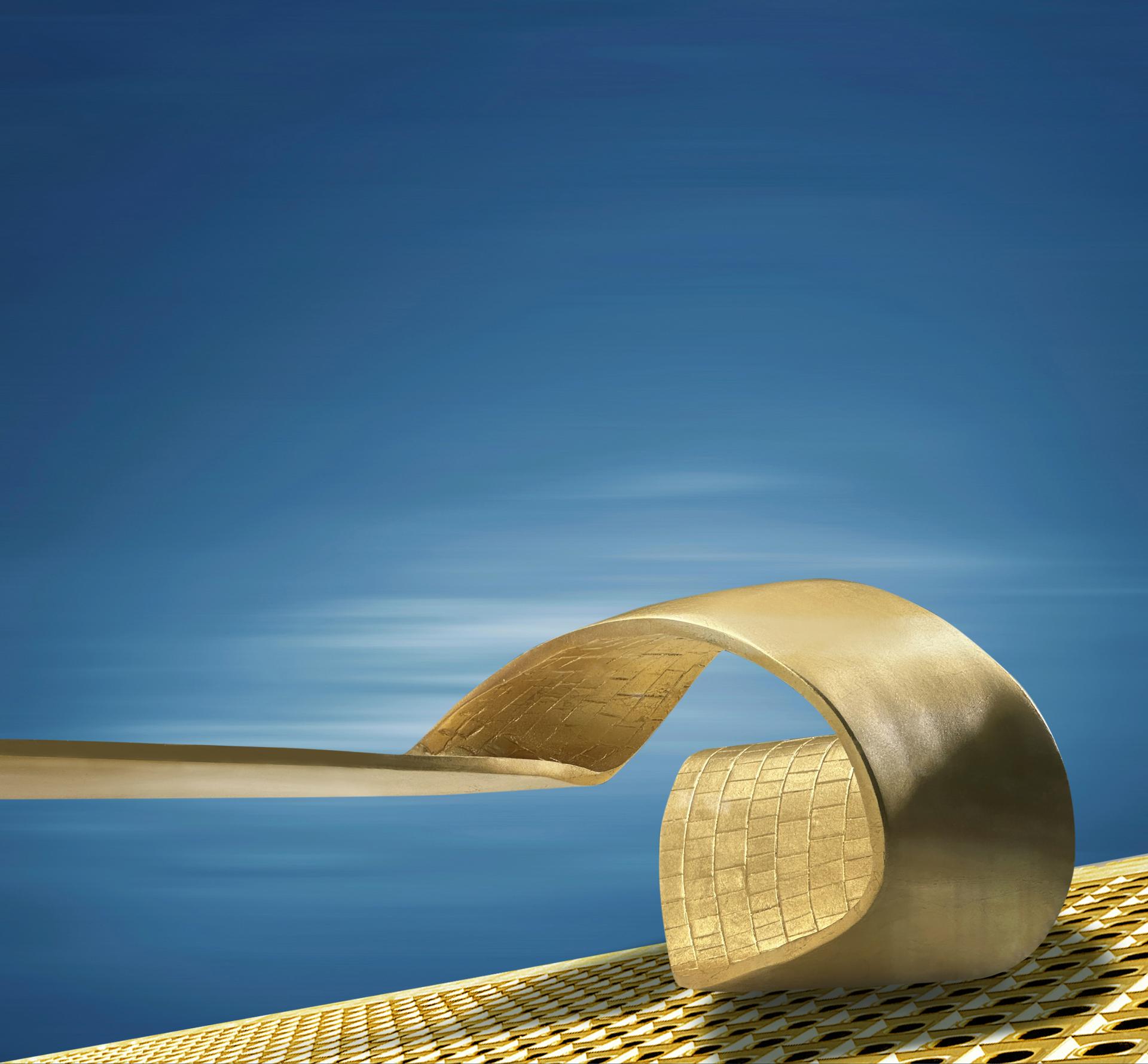 Global Photography Awards Winner - Golden Sheen