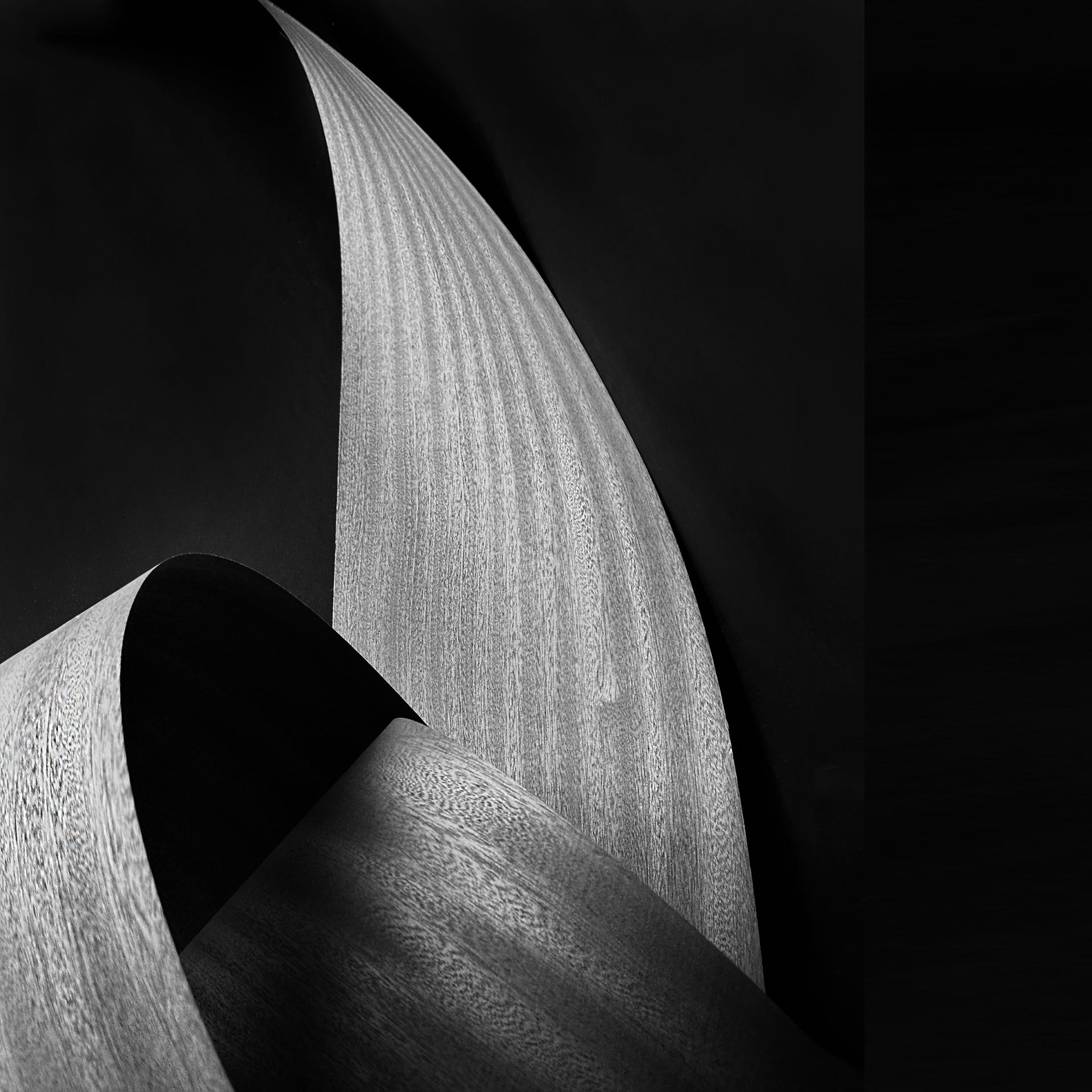 Global Photography Awards Winner - Simplified Arc Structure