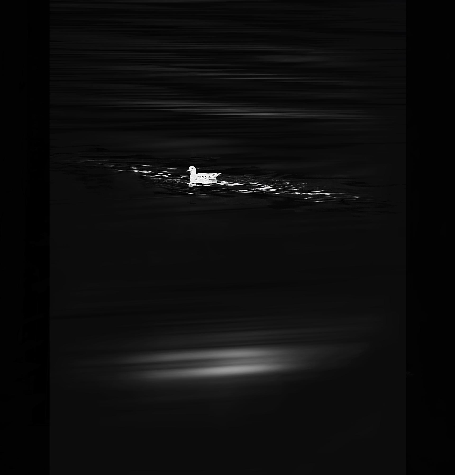 Global Photography Awards Winner - Under the moonlight
