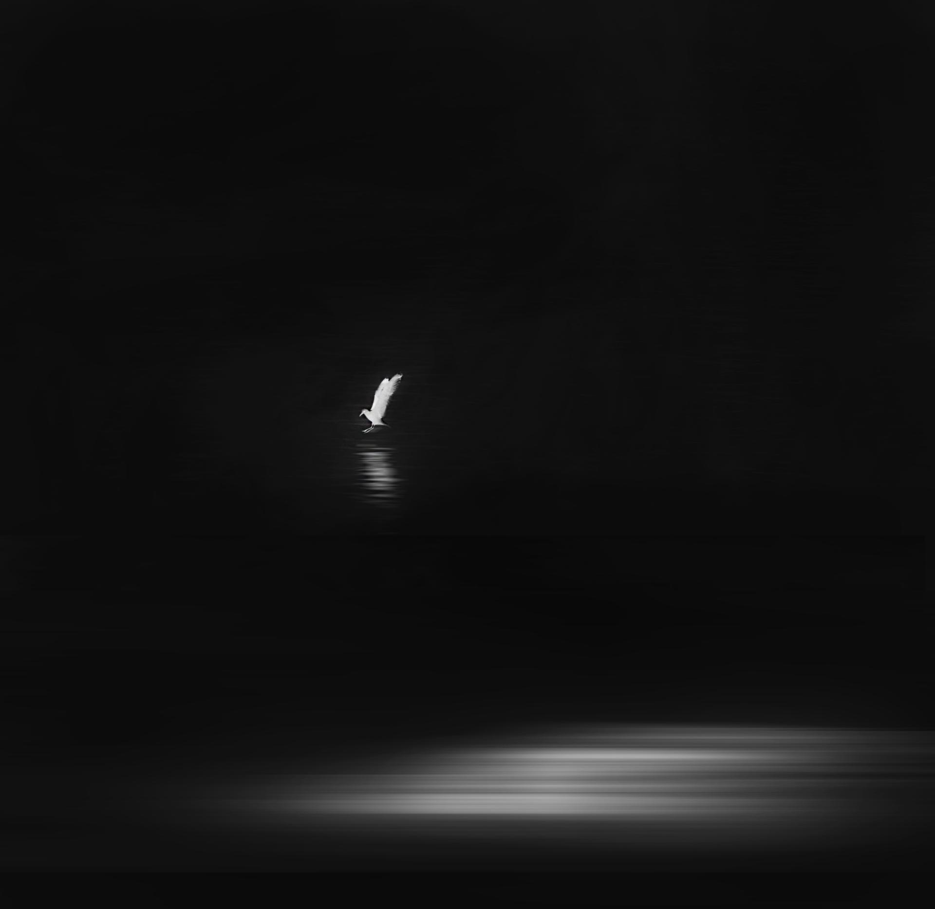 Global Photography Awards Winner - Under the moonlight
