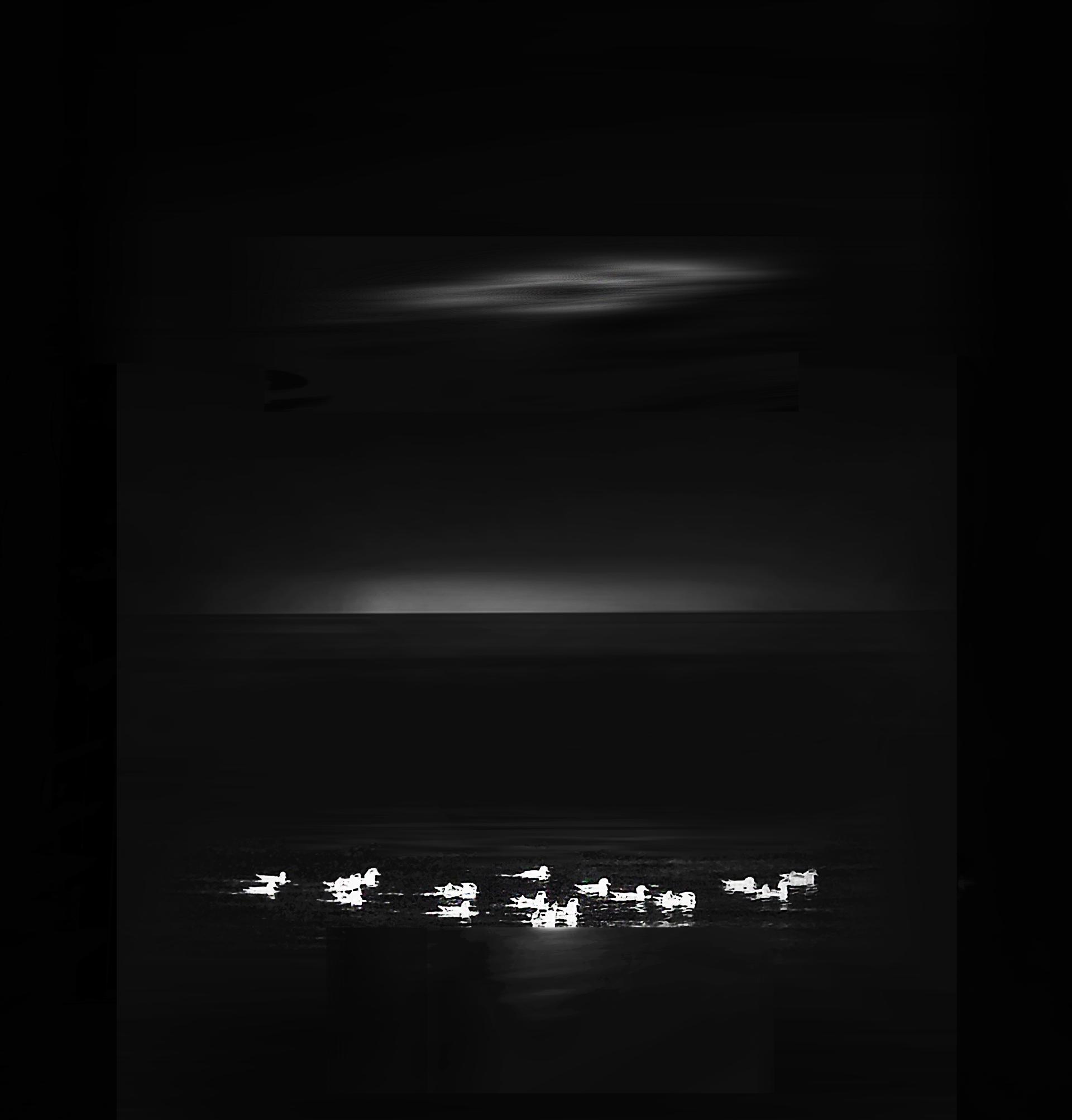 Global Photography Awards Winner - Under the moonlight