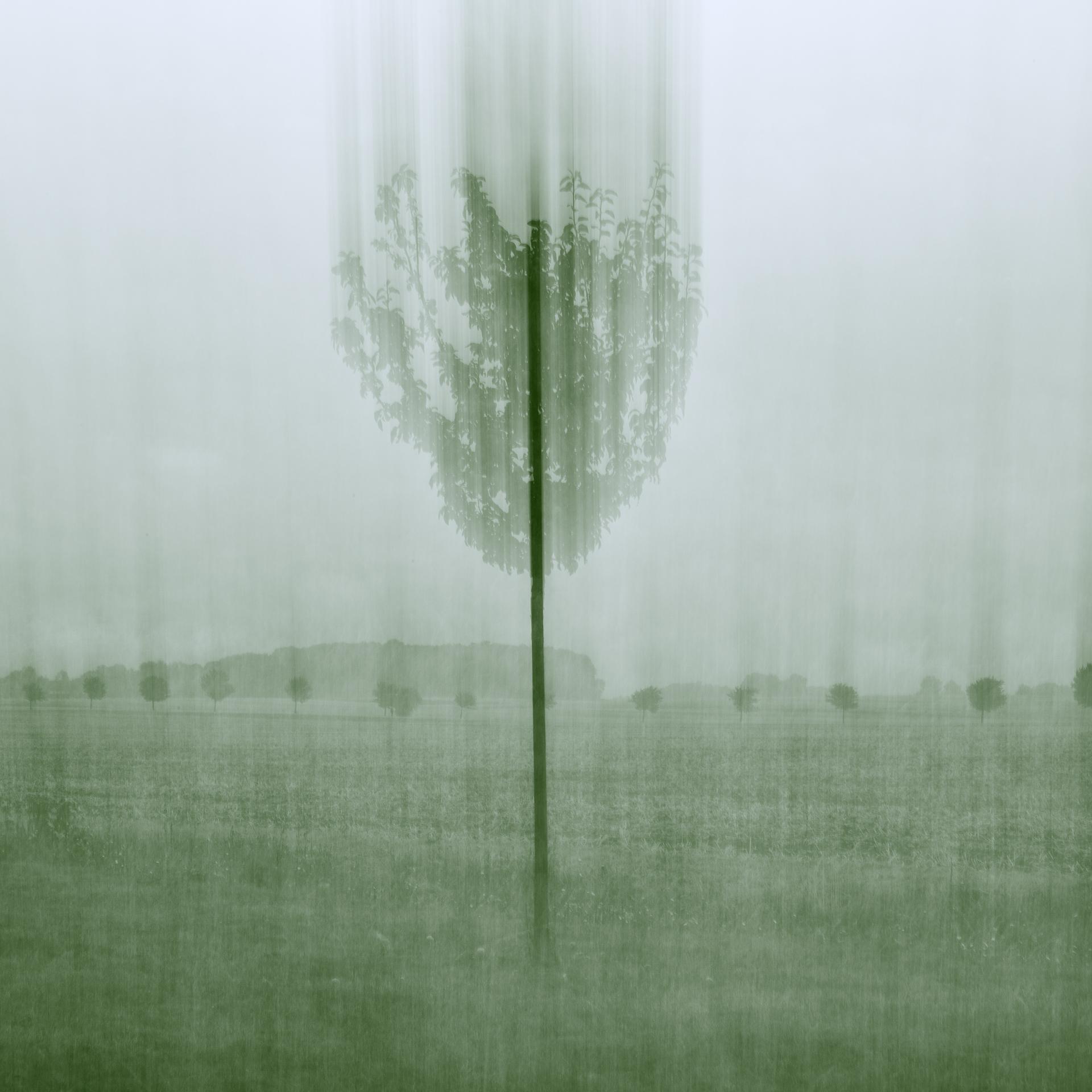 Global Photography Awards Winner - After Green - The Land Unravels