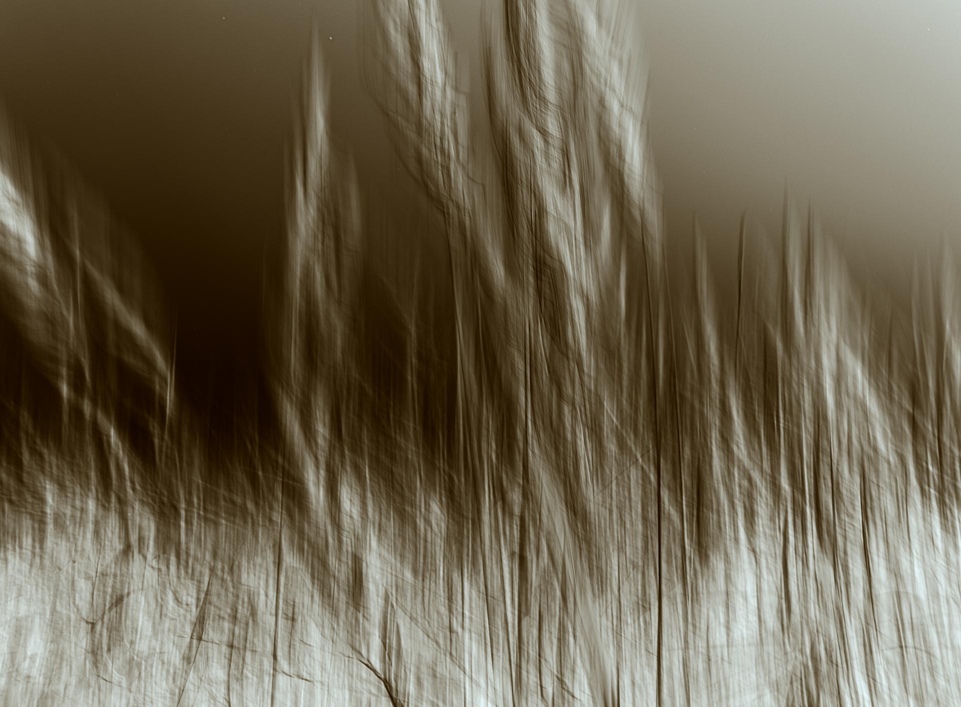 Global Photography Awards Winner - After Green - The Land Unravels