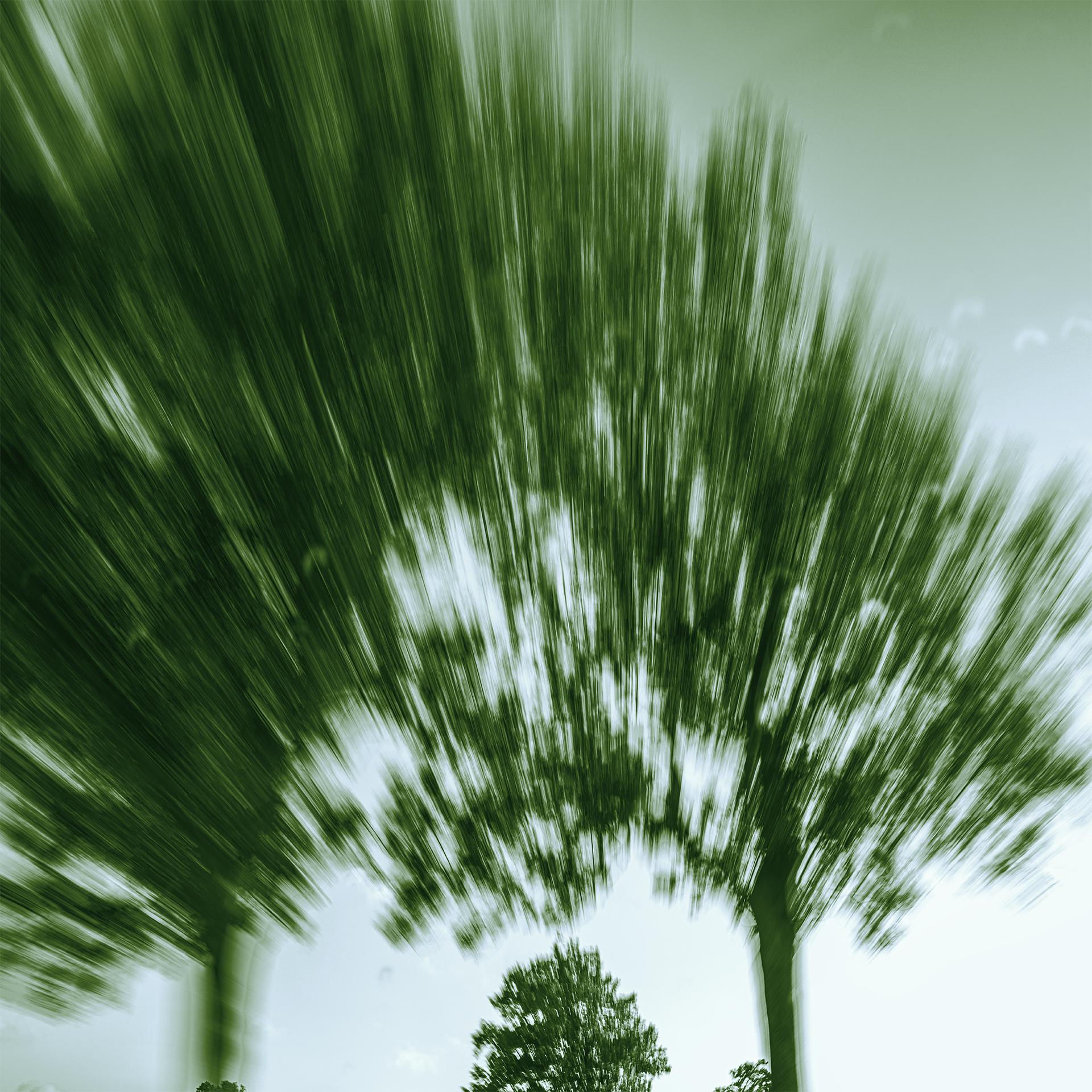 Global Photography Awards Winner - After Green - The Land Unravels