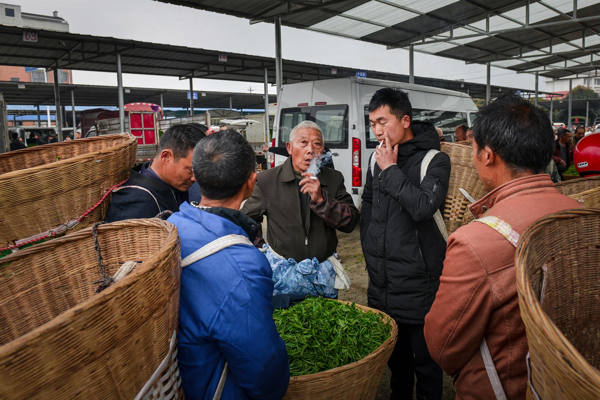Global Photography Awards Winner - Spring Tea Arrives