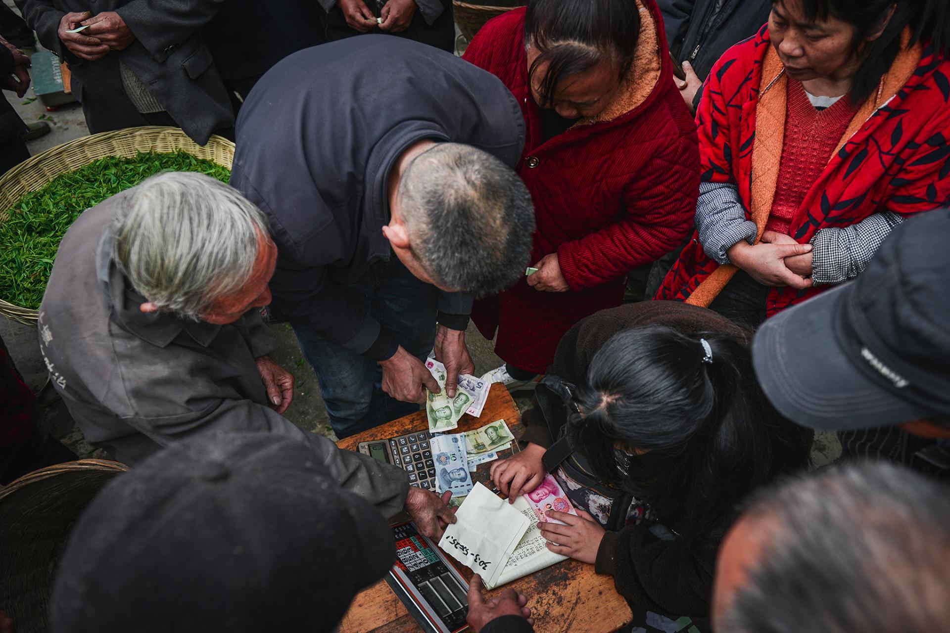 Global Photography Awards Winner - Spring Tea Arrives