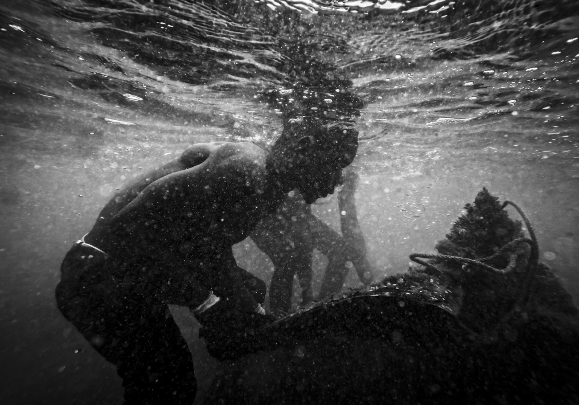 Global Photography Awards Winner - Black Gold, Salty Blood