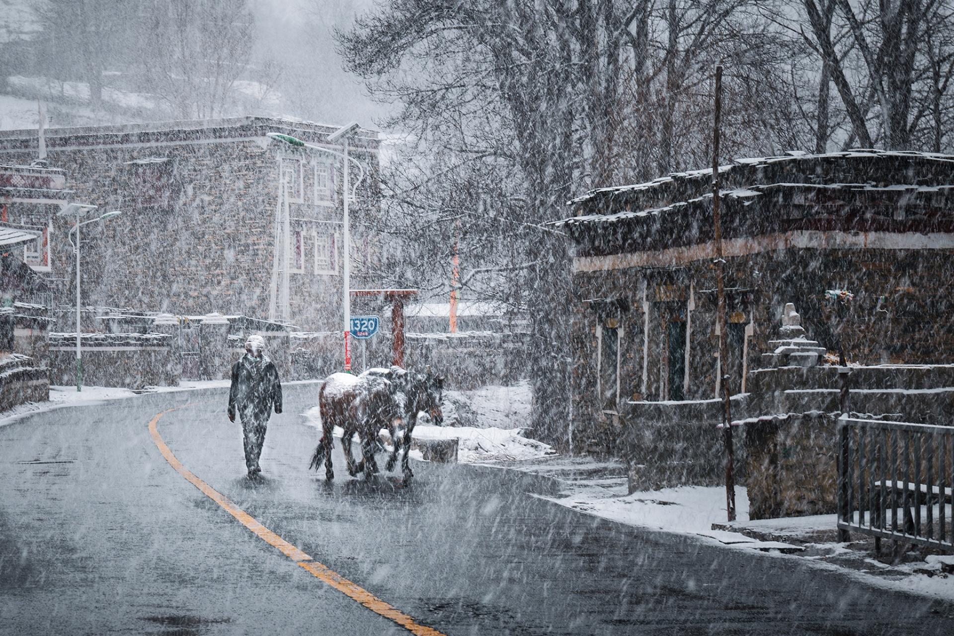 Global Photography Awards Winner - Blizzard Homeward