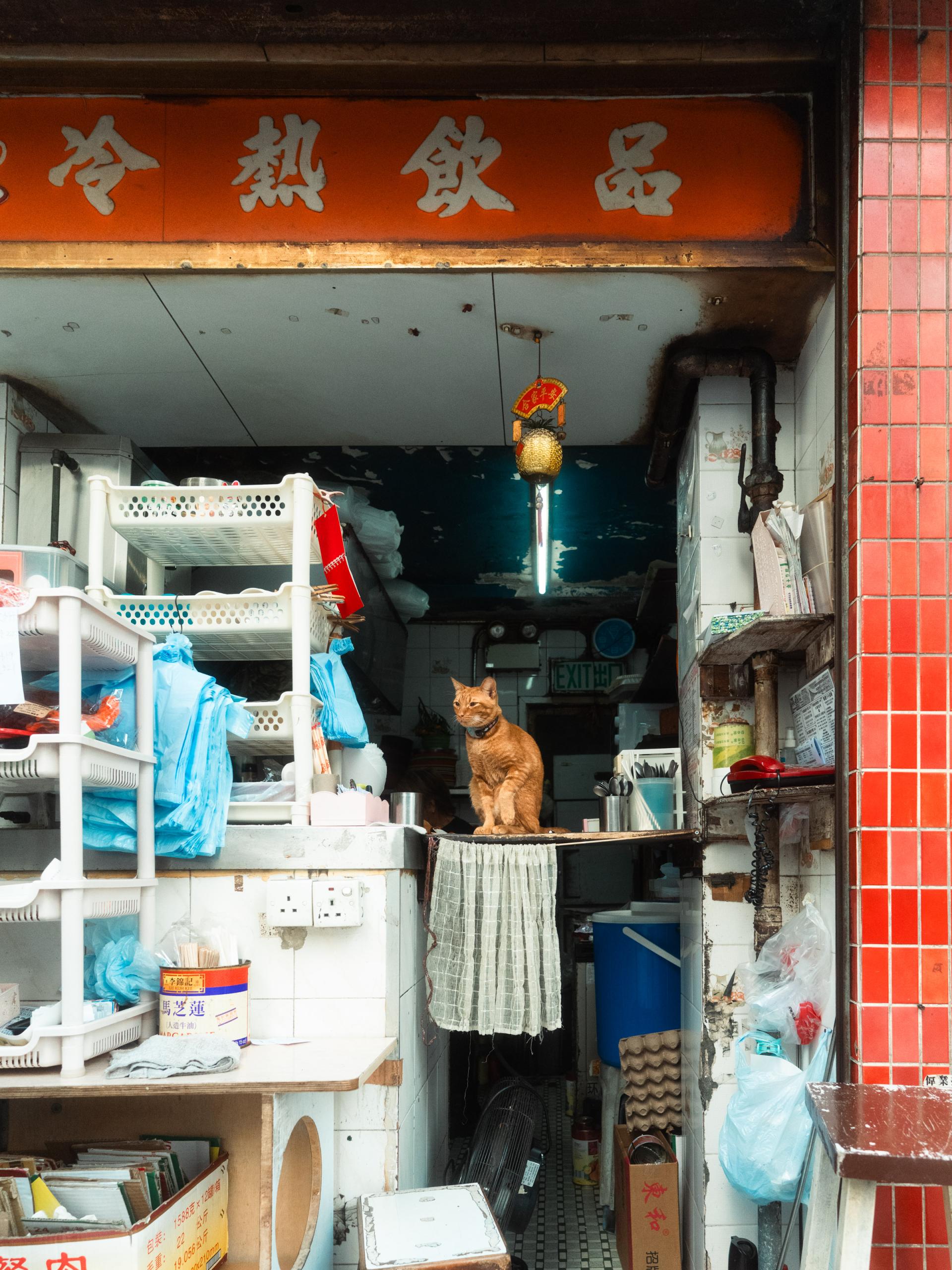 Global Photography Awards Winner - Hong Kong Shopfronts