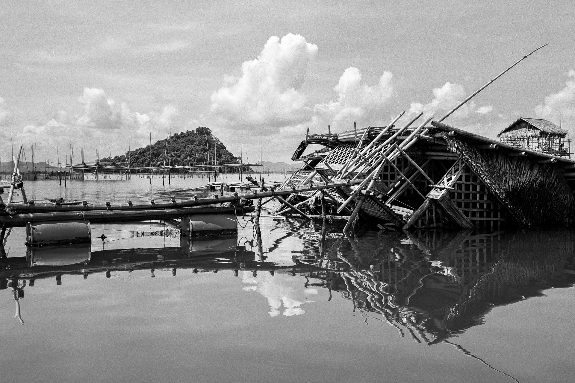 Global Photography Awards Winner - Amphibious Lives