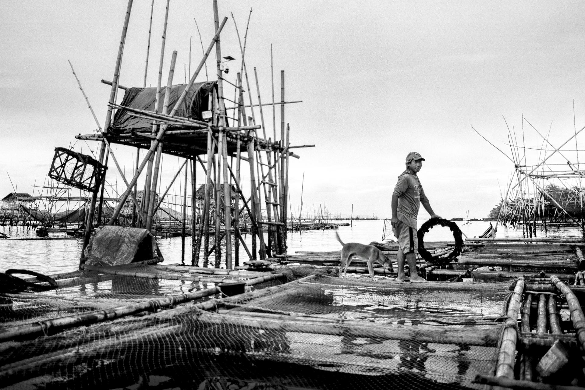 Global Photography Awards Winner - Amphibious Lives