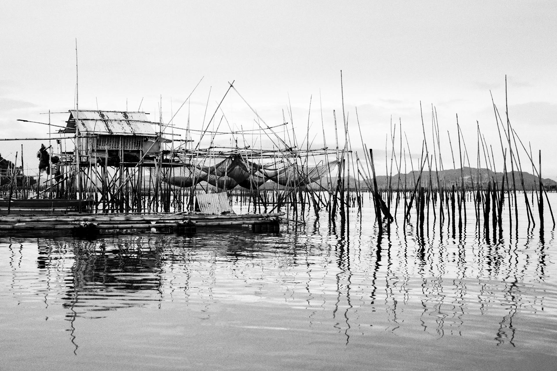 Global Photography Awards Winner - Amphibious Lives
