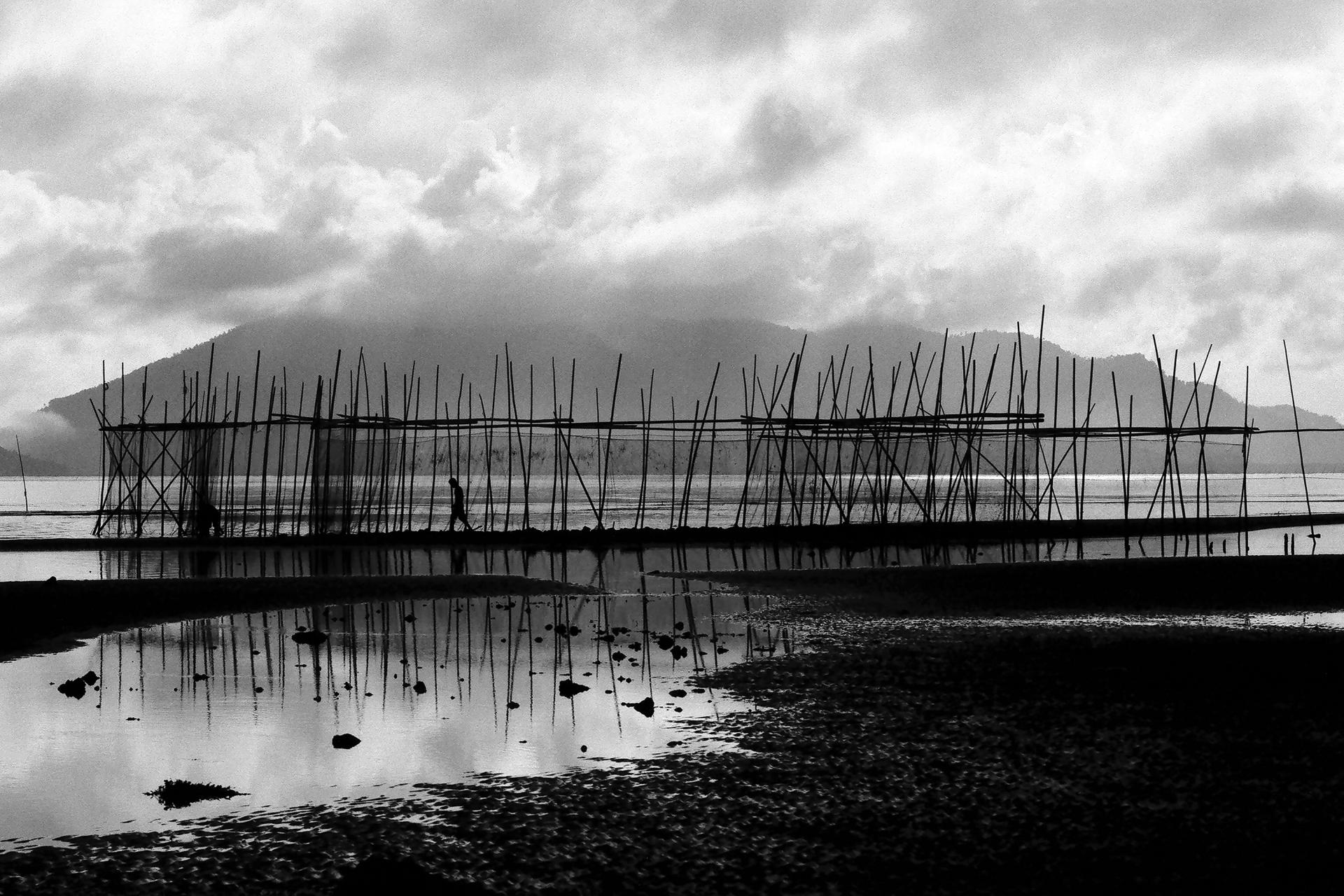 Global Photography Awards Winner - Amphibious Lives