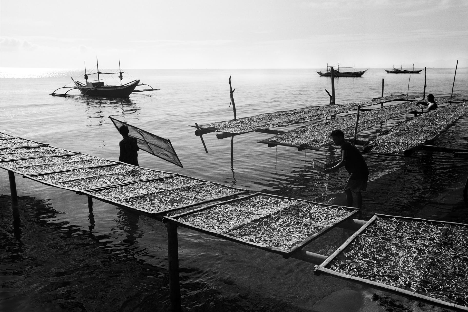 Global Photography Awards Winner - Amphibious Lives