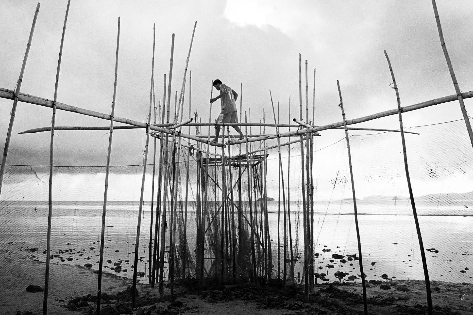 Global Photography Awards Winner - Amphibious Lives