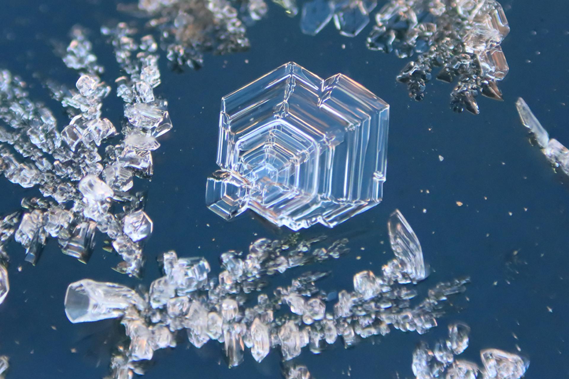 Global Photography Awards Winner - Birthday's Surprise Frost