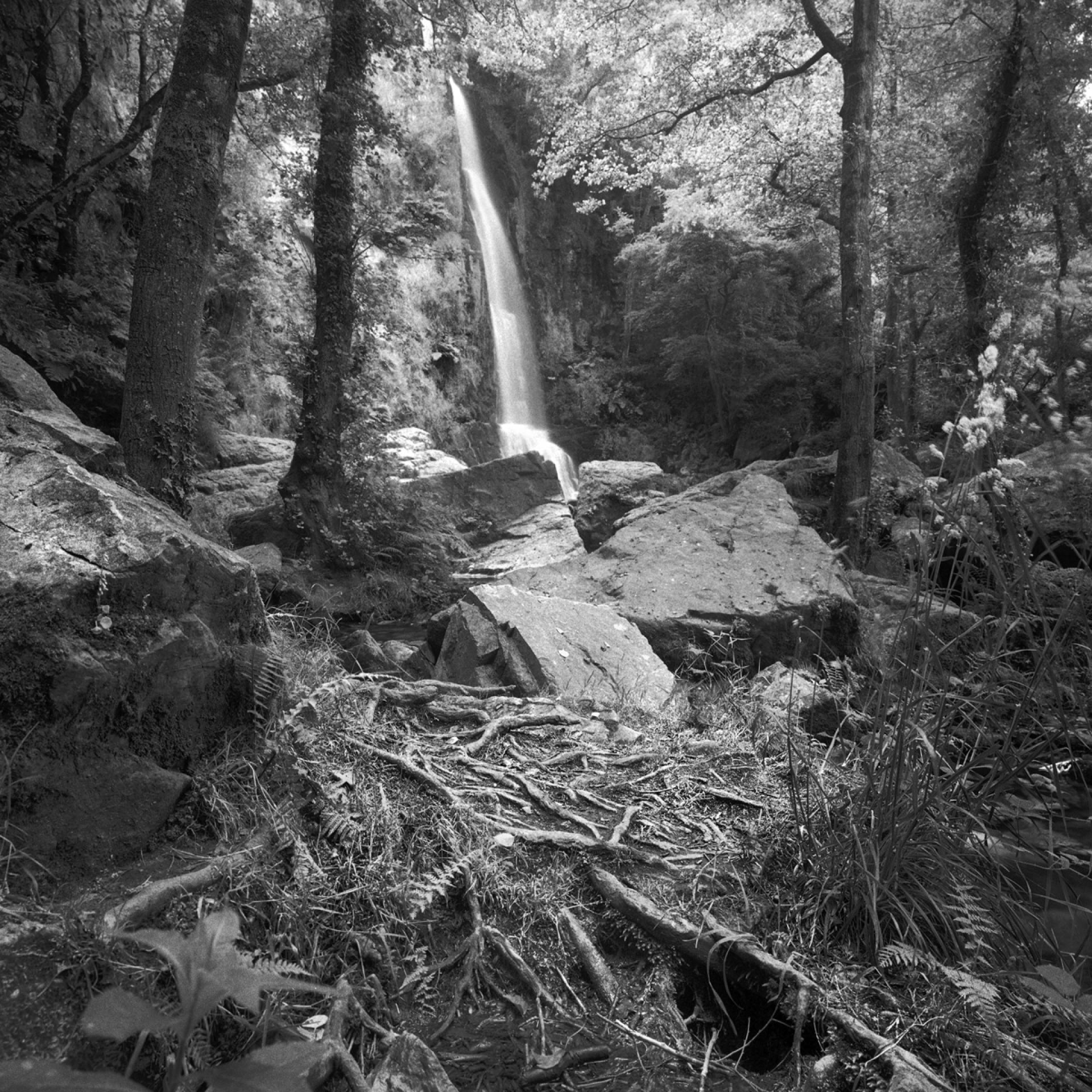 Global Photography Awards Winner - PRINCIPALITY OF ASTURIAS NATURAL PARKS (NW SPAIN)