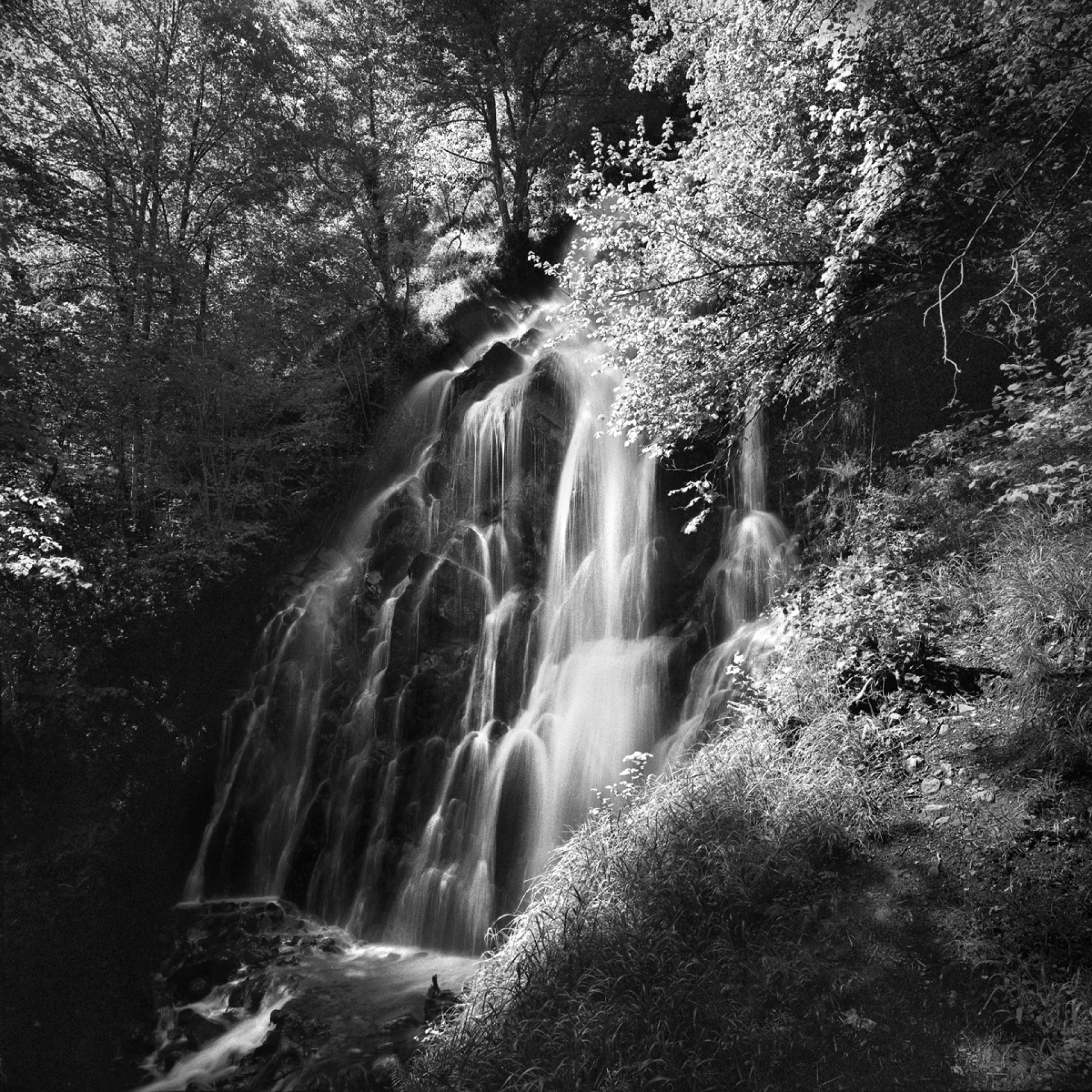Global Photography Awards Winner - PRINCIPALITY OF ASTURIAS NATURAL PARKS (NW SPAIN)
