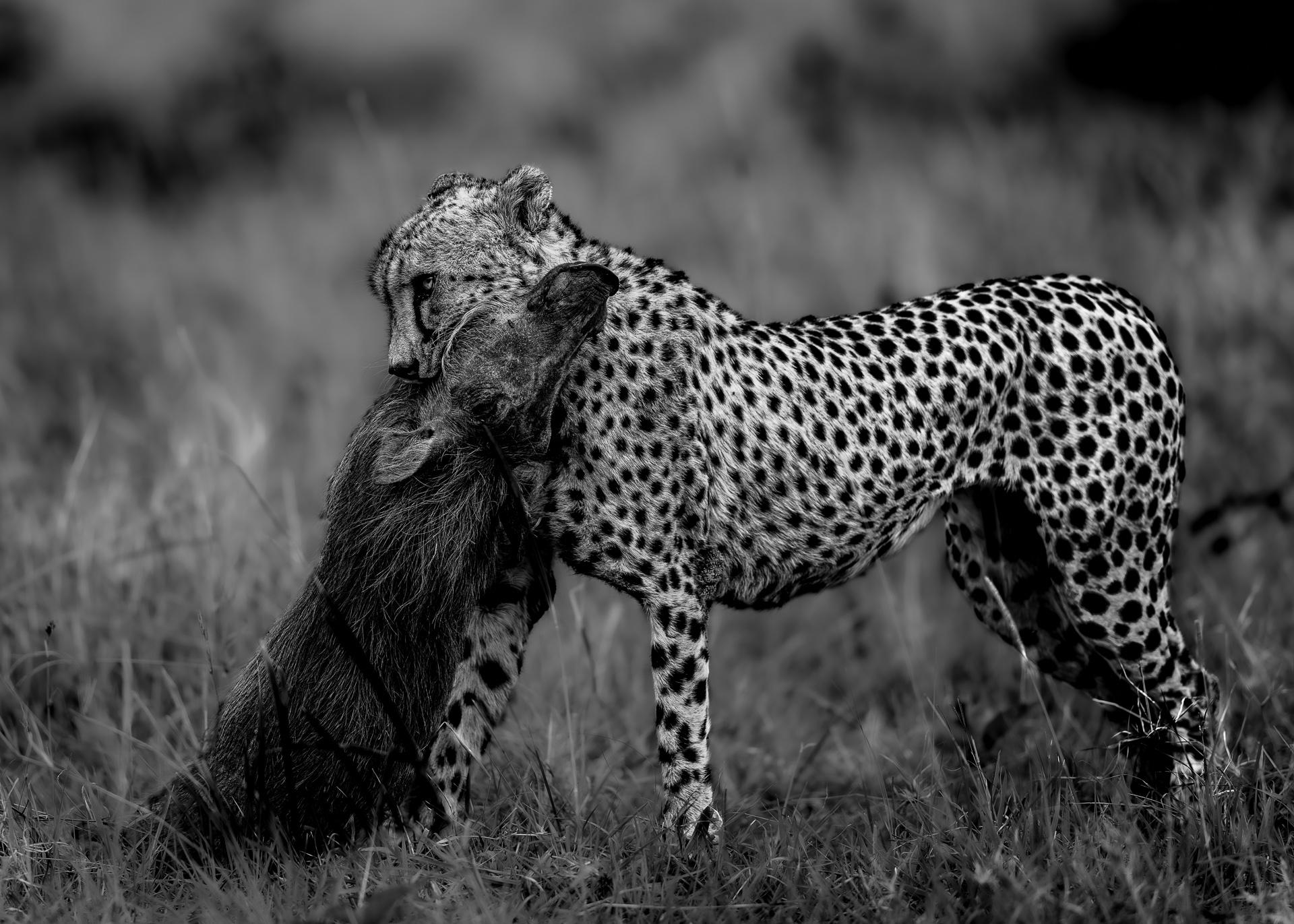 Global Photography Awards Winner - The Weight of Survival