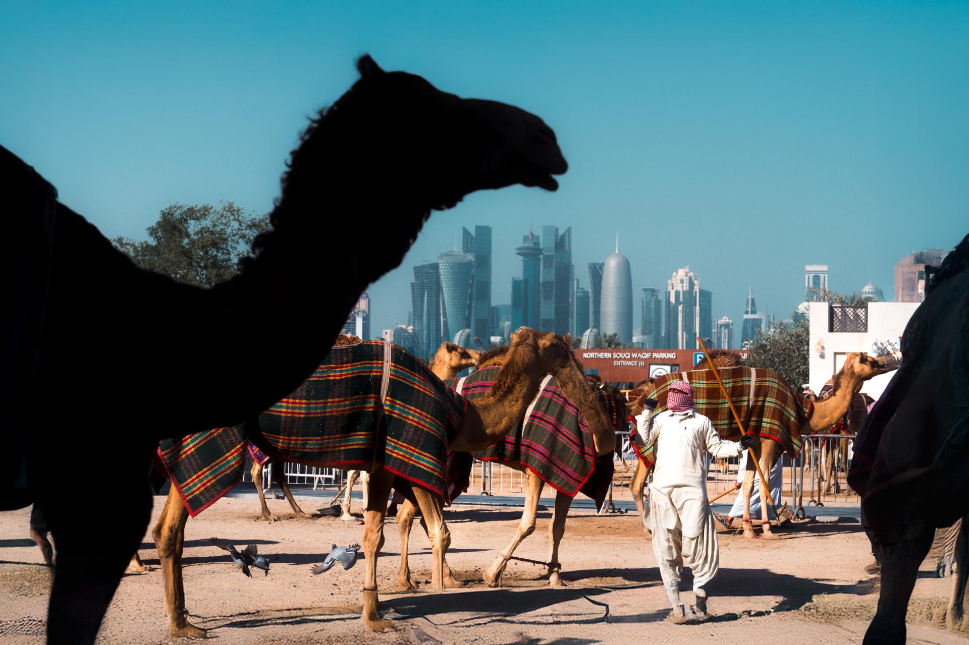Global Photography Awards Winner - Deserts of Change
