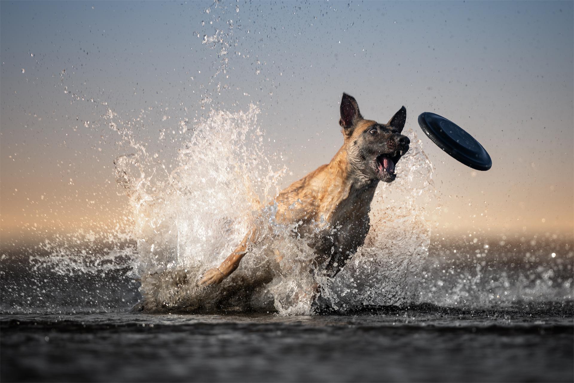 Global Photography Awards Winner - Target Locked 
