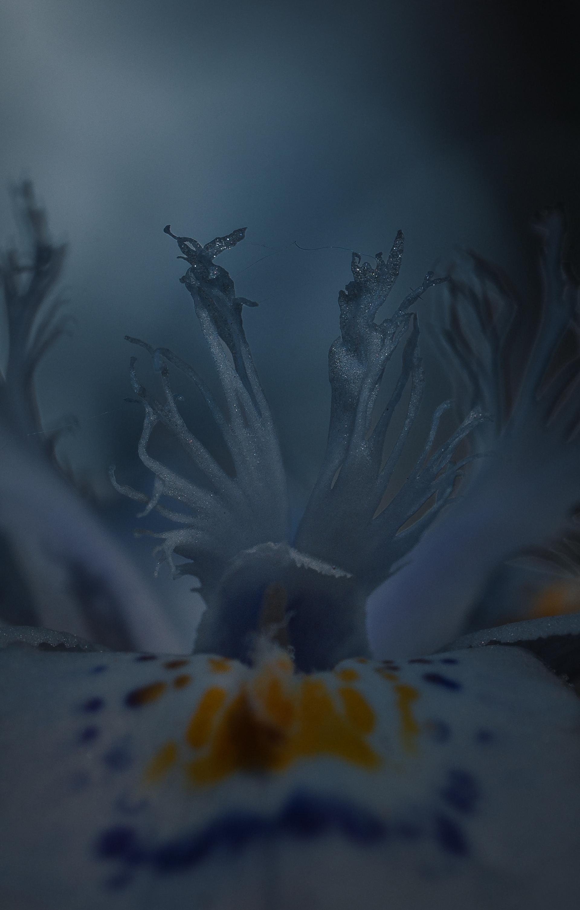 Global Photography Awards Winner - Magic Does Exist