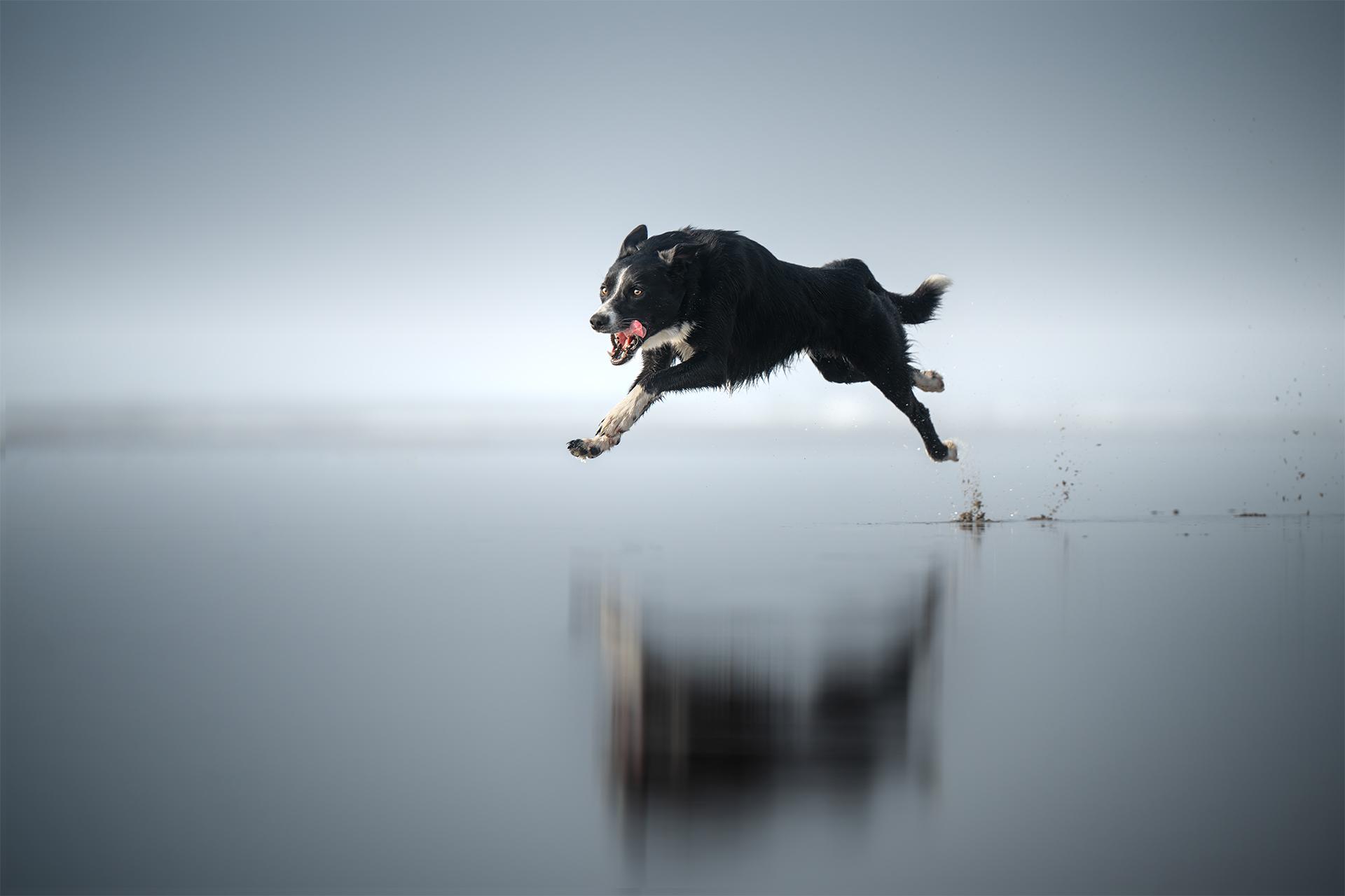 Global Photography Awards Winner - Mirror in Motion