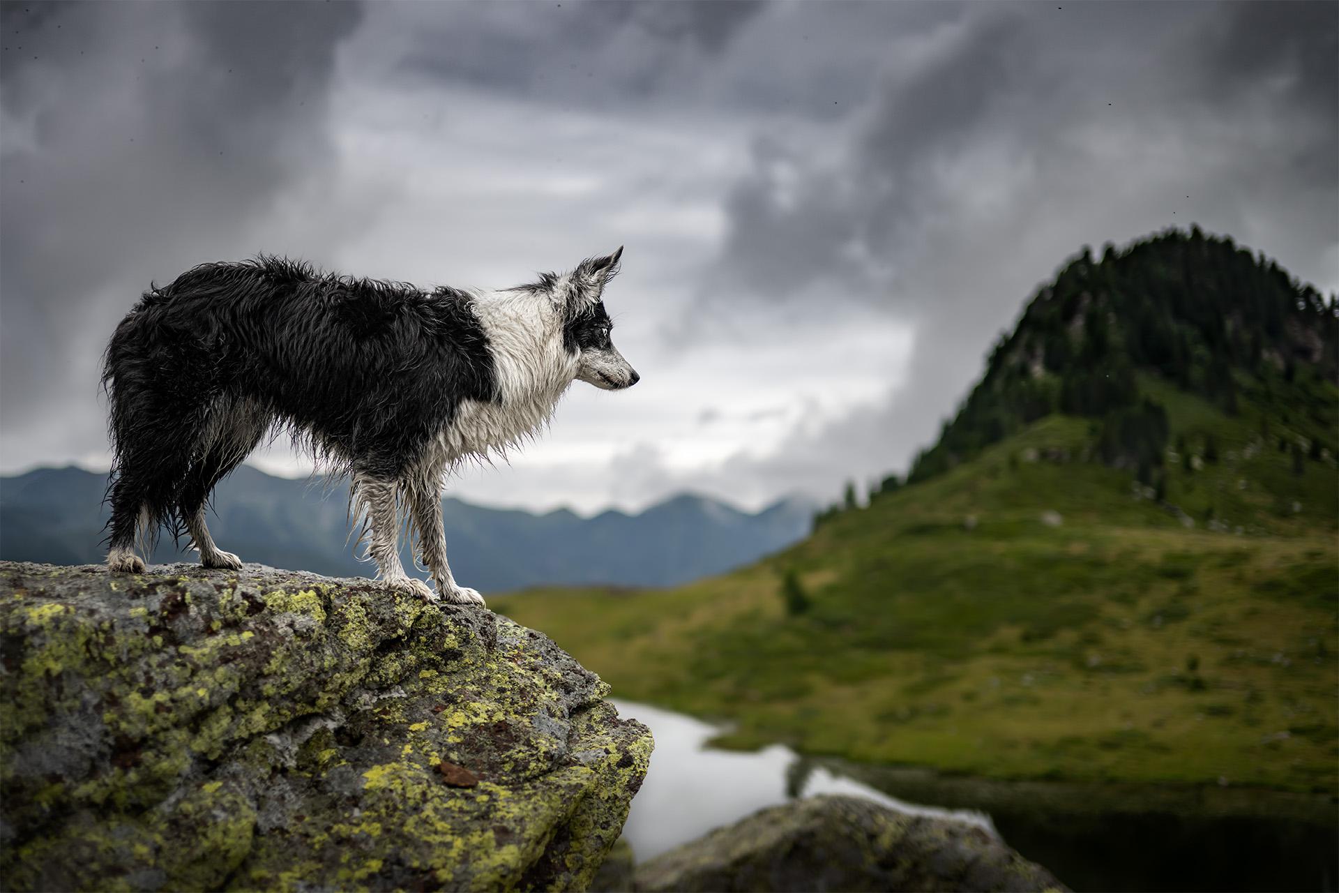 Global Photography Awards Winner - Edge of Unknown