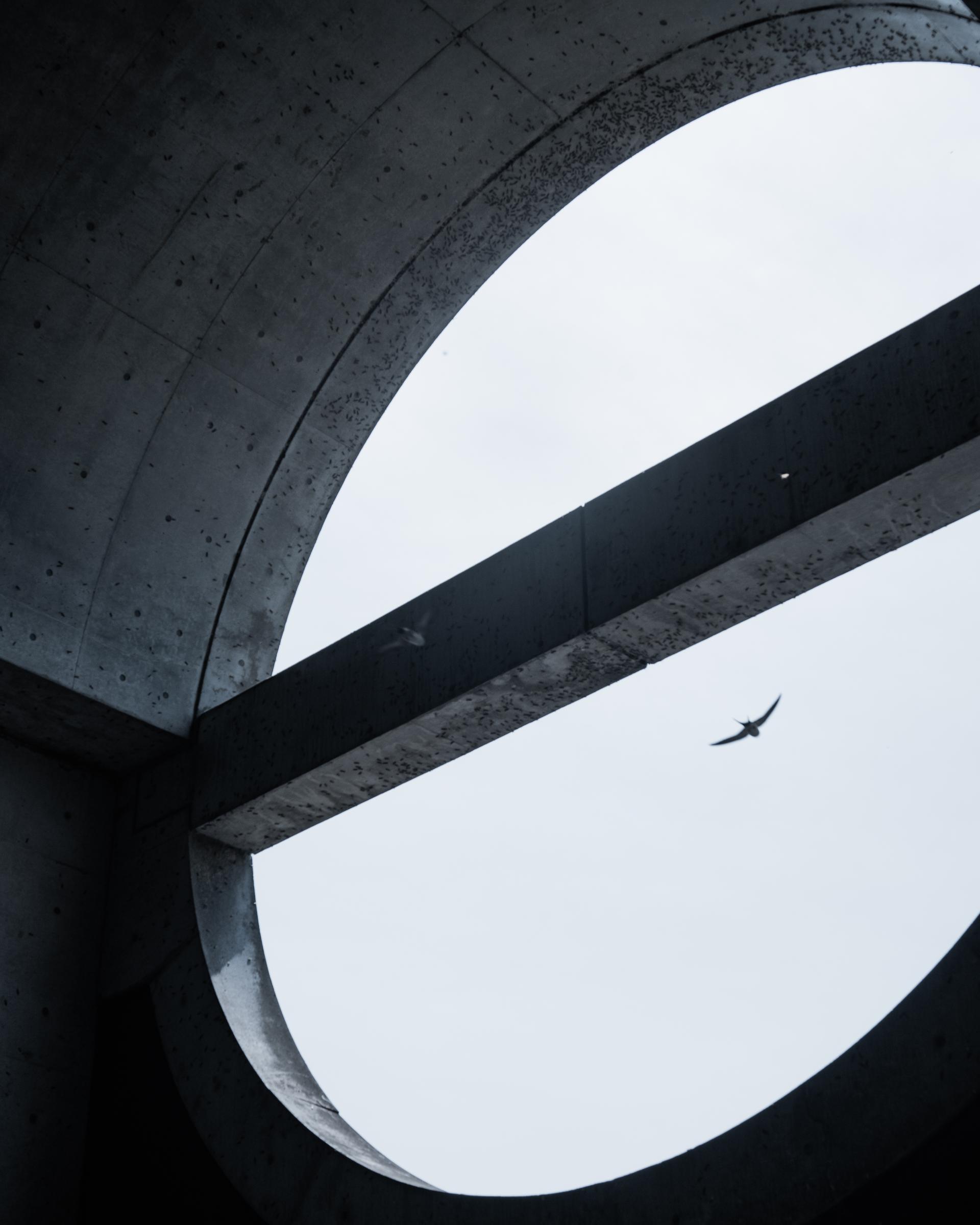 Global Photography Awards Winner - Concrete Memento