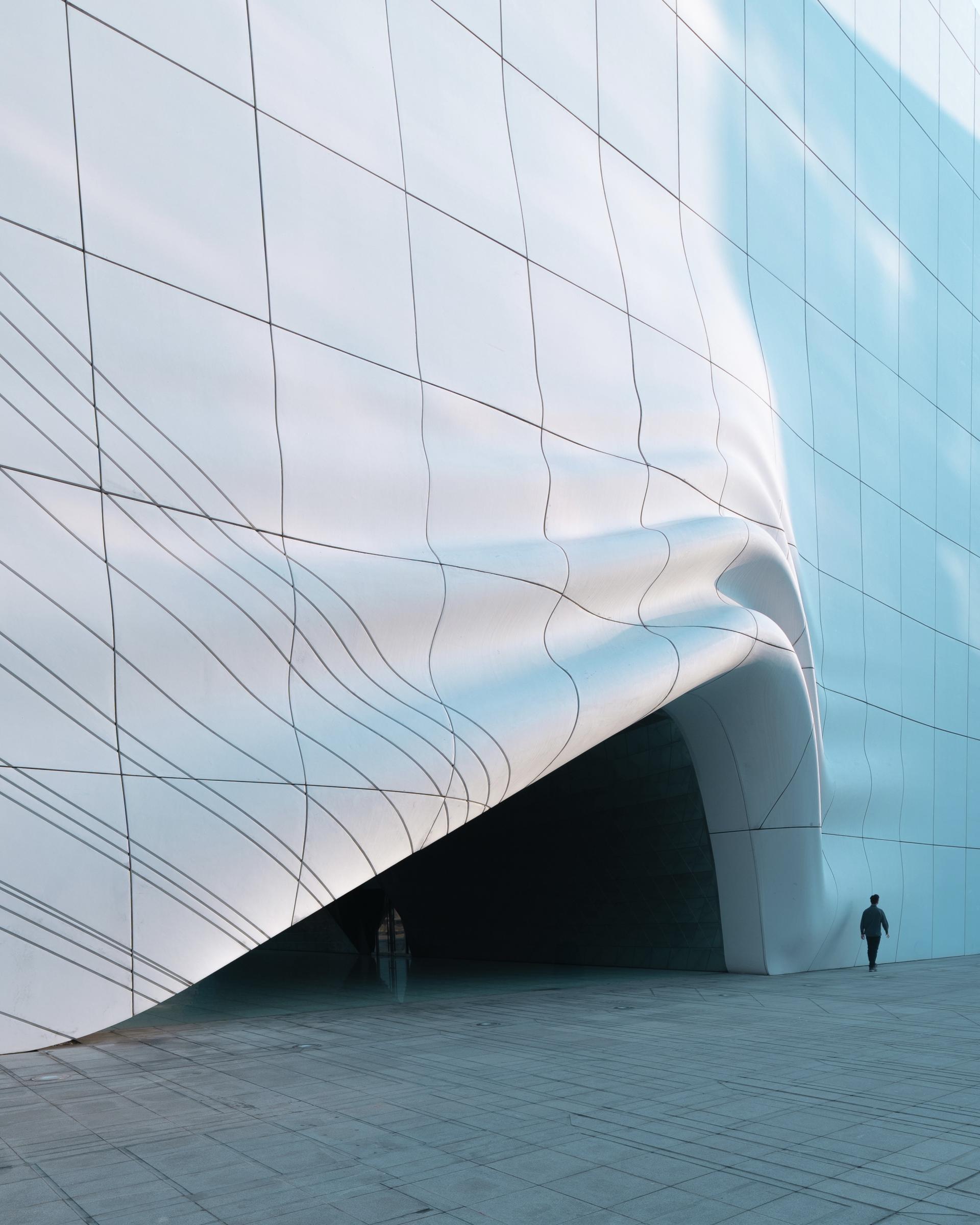 Global Photography Awards Winner - Sunny Side-Up