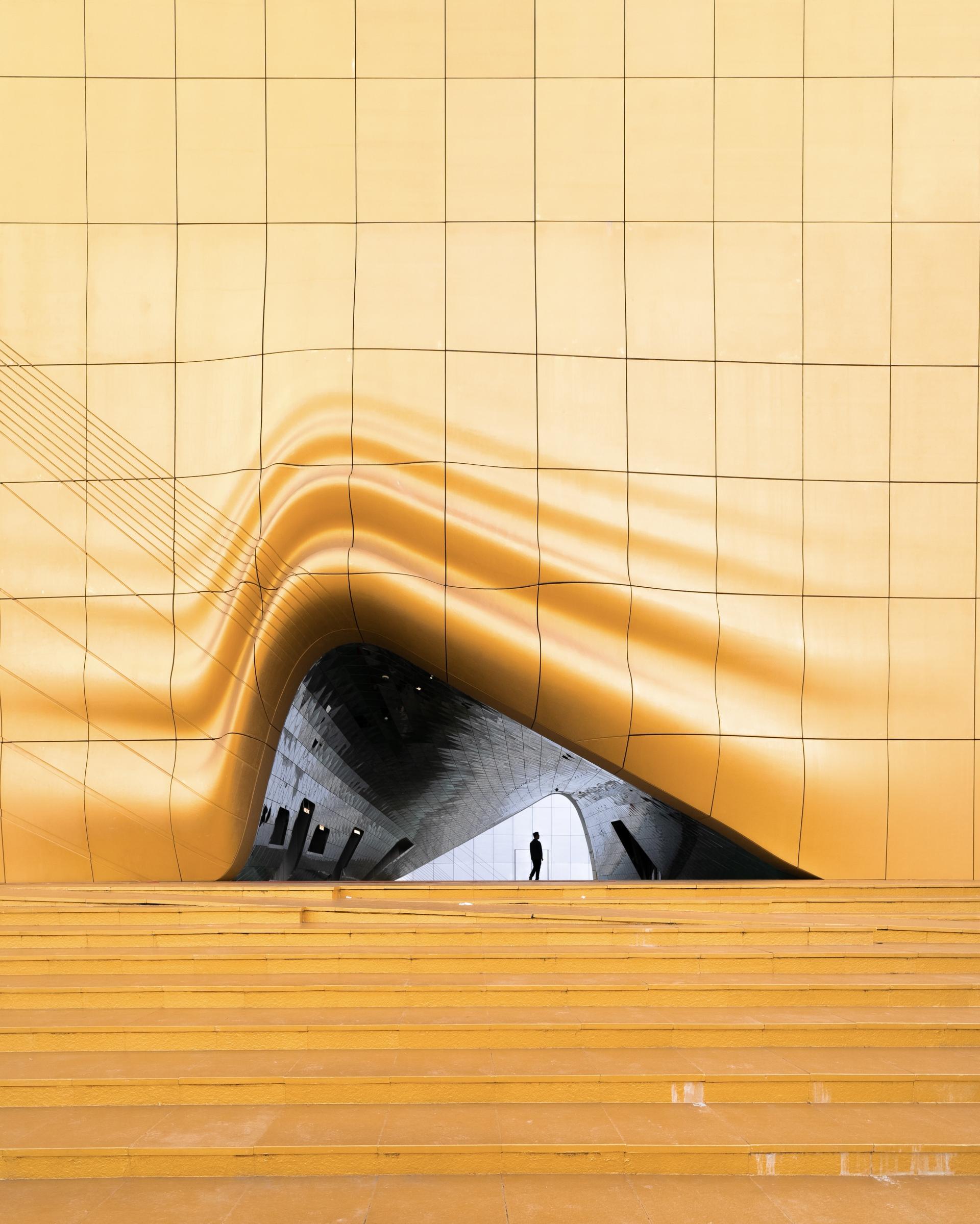 Global Photography Awards Winner - Sunny Side-Up
